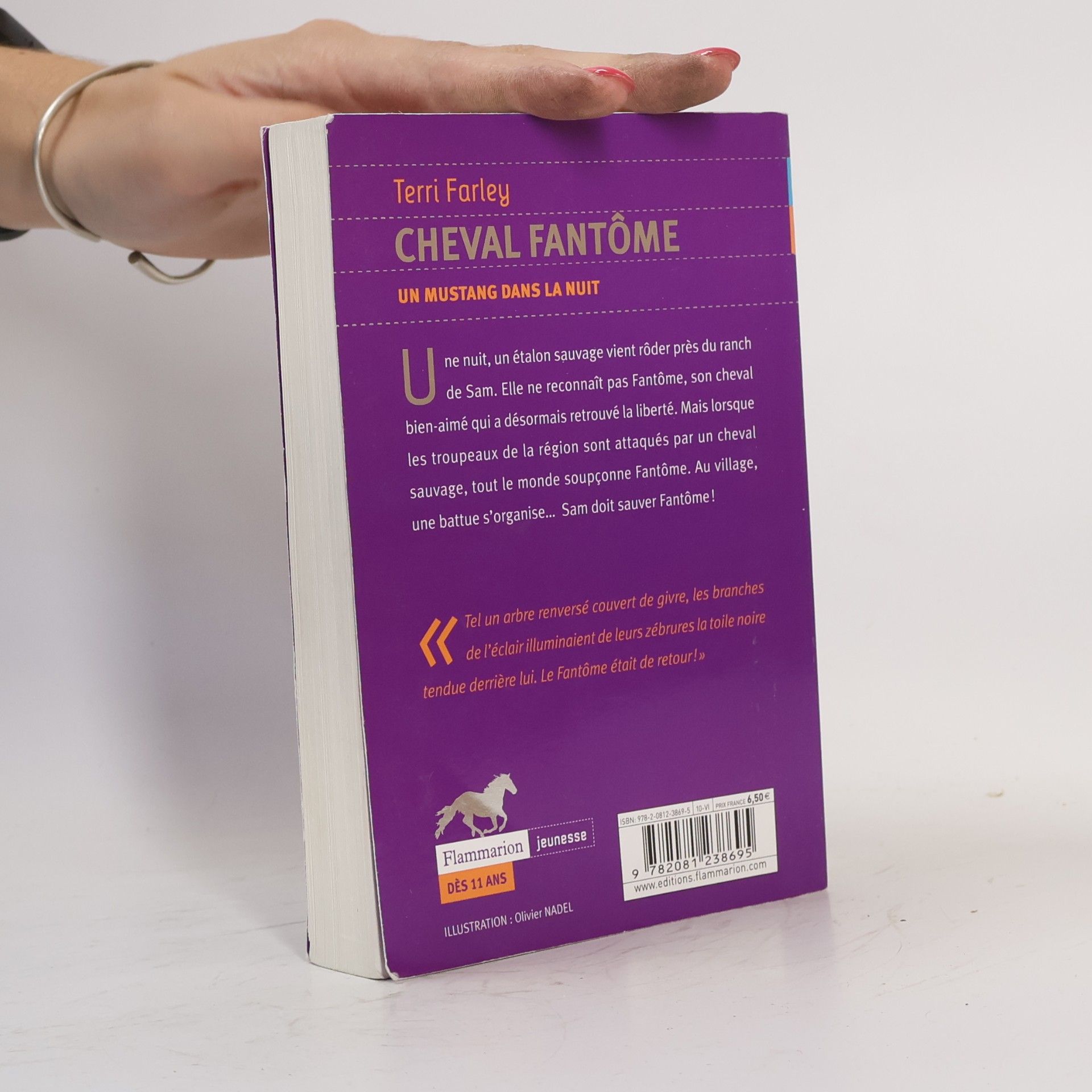 Terri Farley Cheval fantôme