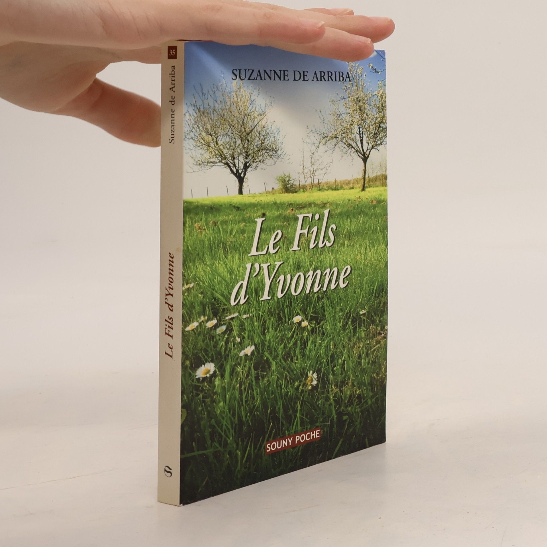Le Fils d'Yvonne