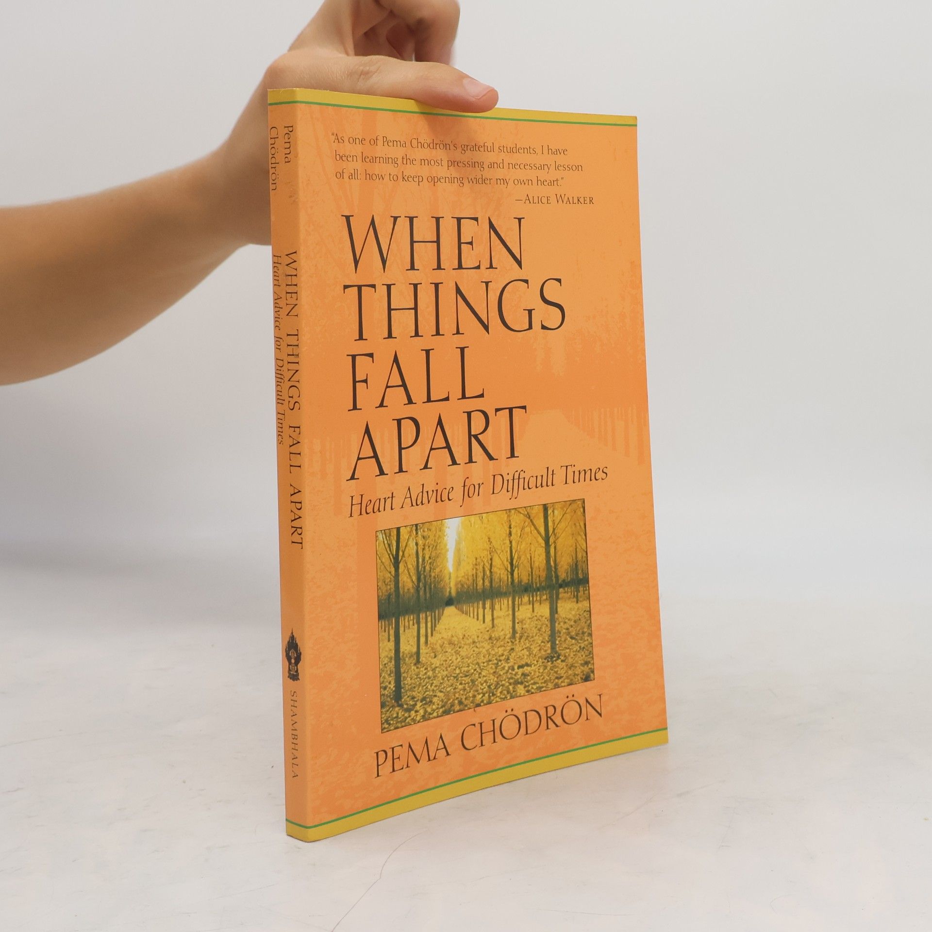 Pema Chödrön When Things Fall Apart