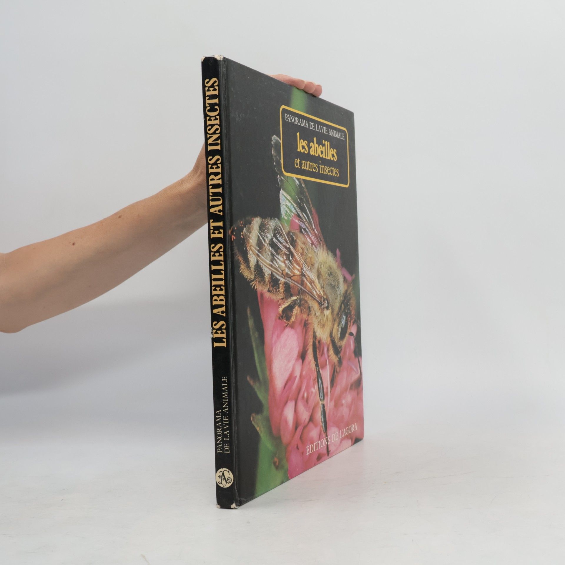 Autorenkollektiv Les abeilles et autres insectes