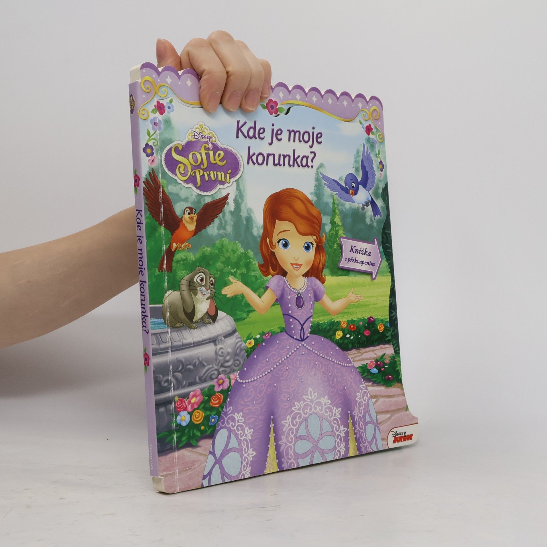 Lori C. Froeb Sofie První - Kde je moje korunka?