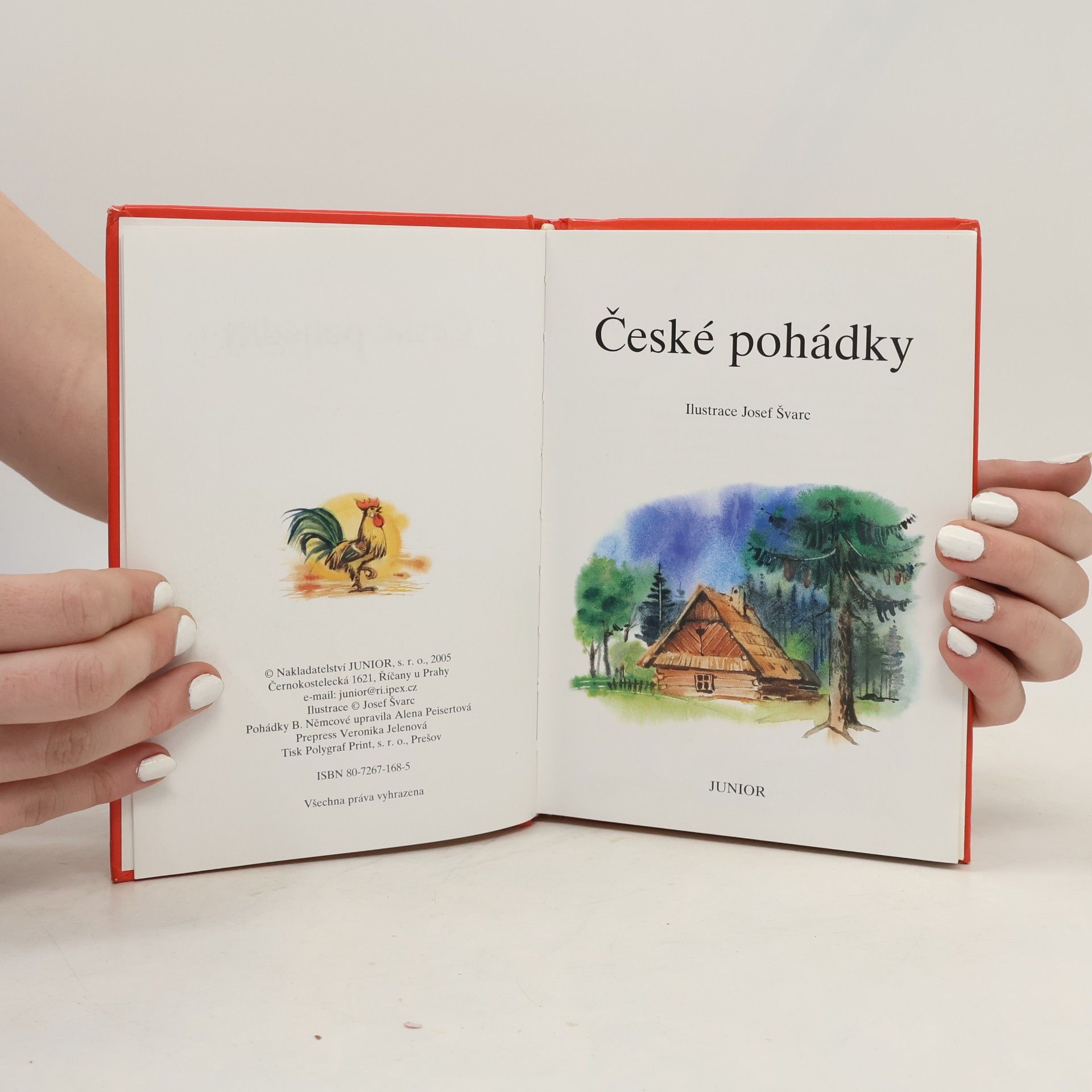 Josef Švarc České pohádky