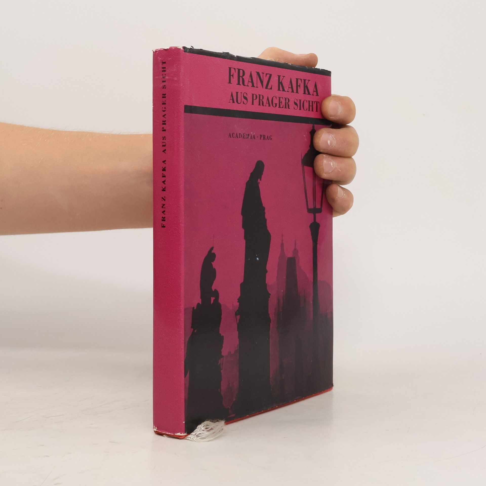 Autorenkollektiv Franz Kafka Aus Prager Sicht