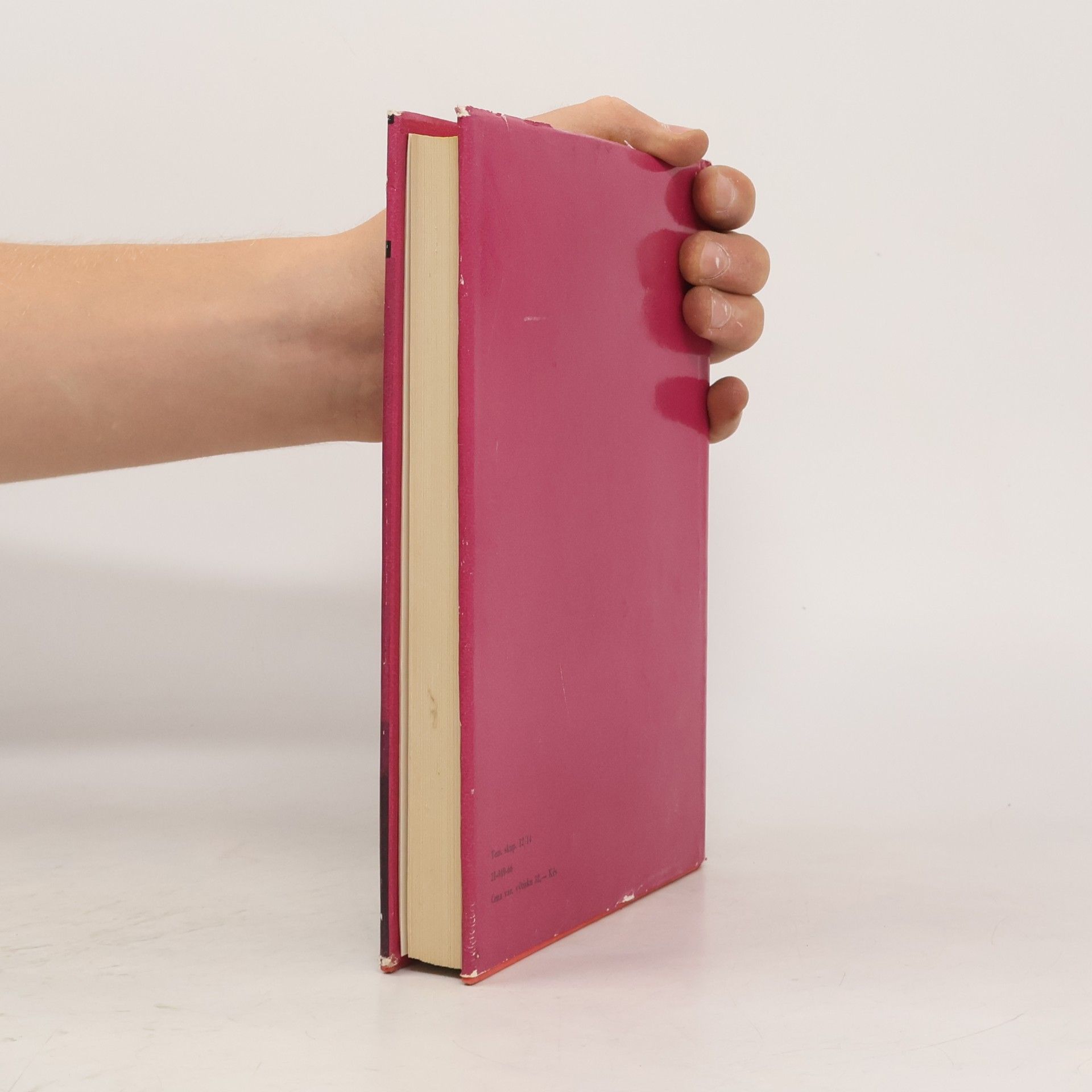 Autores varios Franz Kafka Aus Prager Sicht