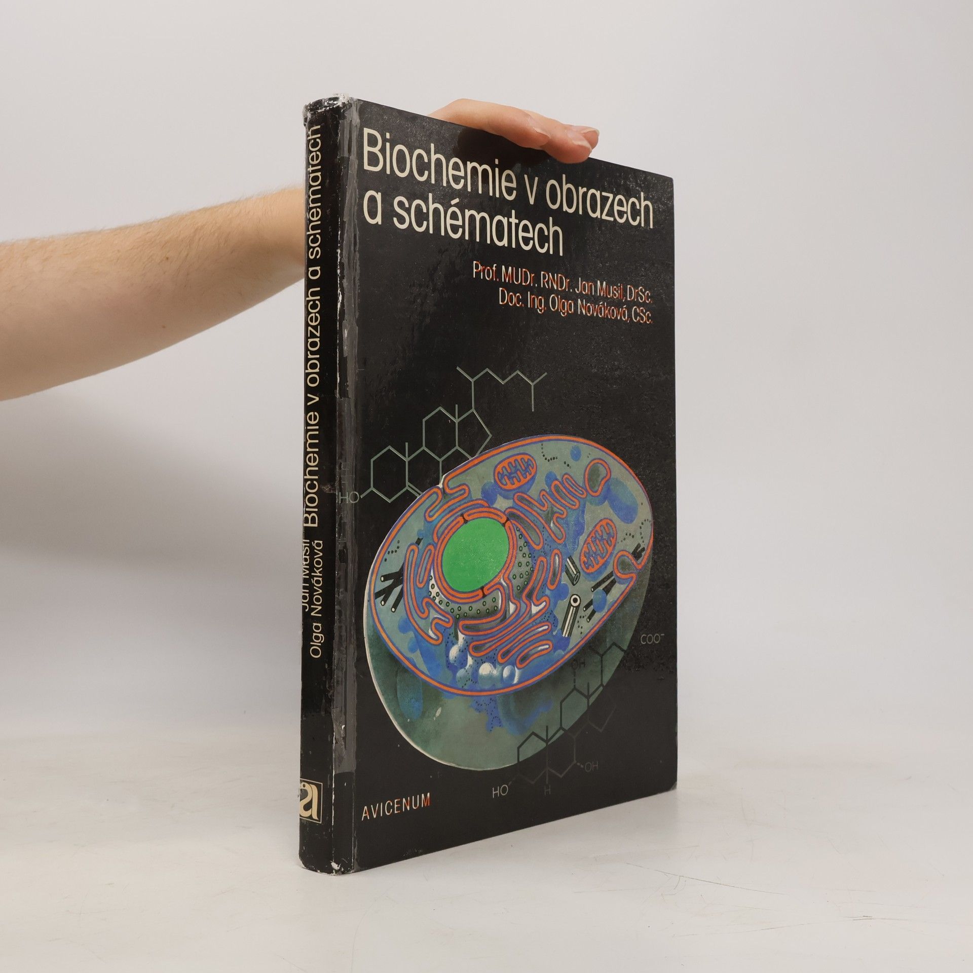 Olga Nováková Biochemie v obrazech a schématech