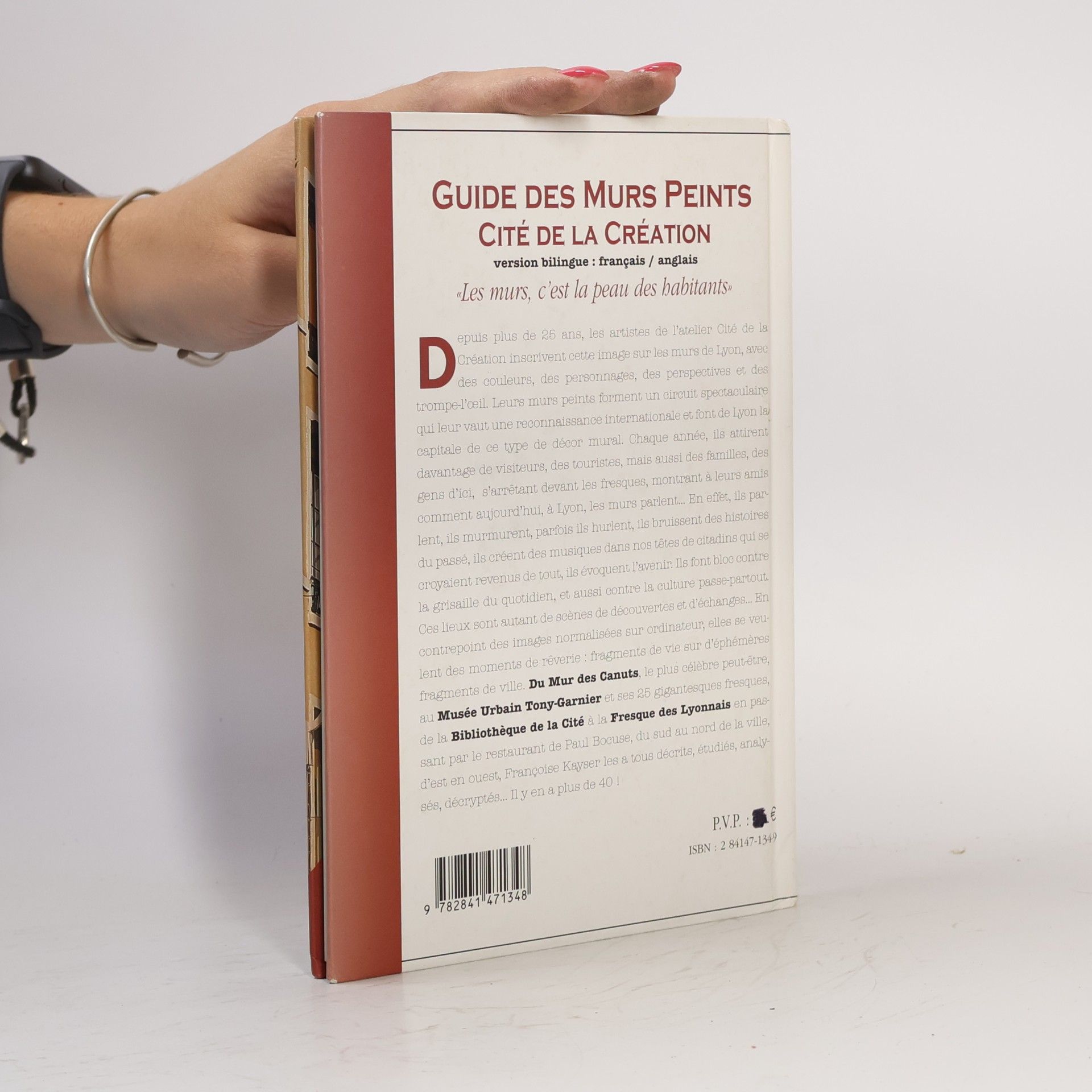 Françoise Kayser Guide des murs peints de Lyon