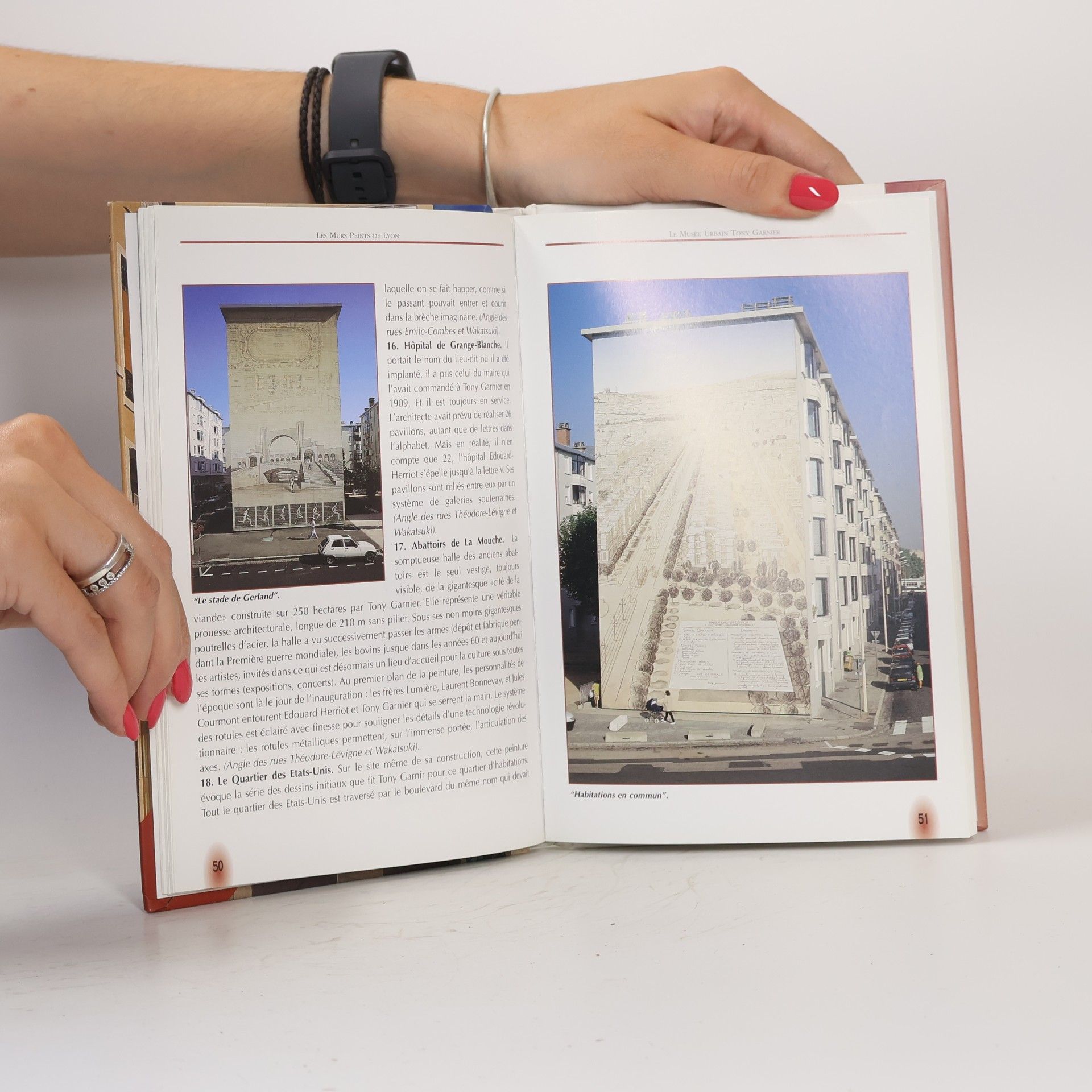 Françoise Kayser Guide des murs peints de Lyon