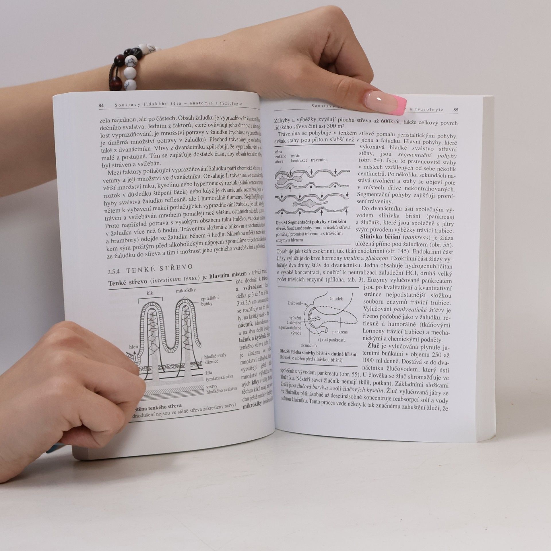 Ivan Novotný Biologie člověka. Pro gymnázia
