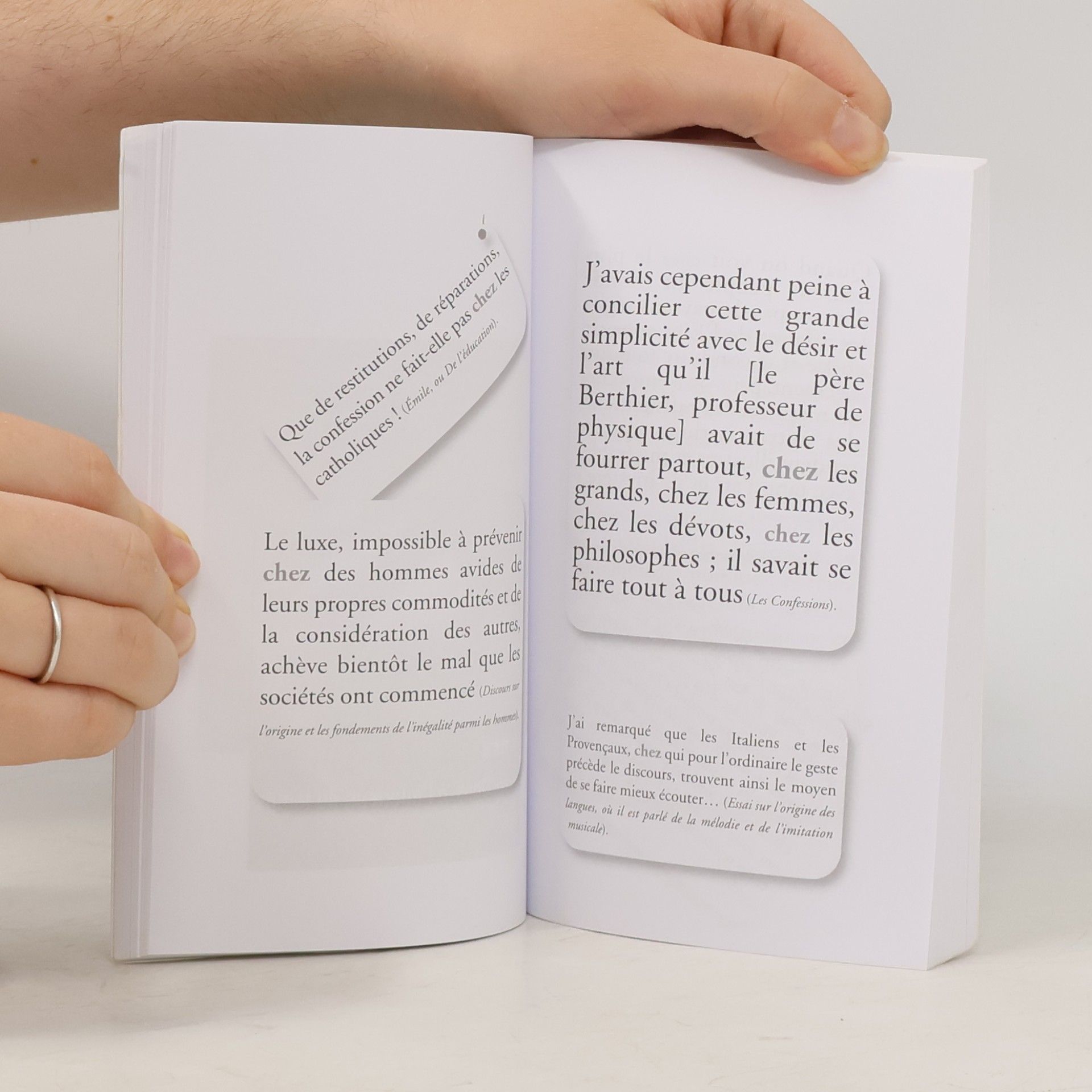 Michel Kneubühler Rousseau au fil des mots