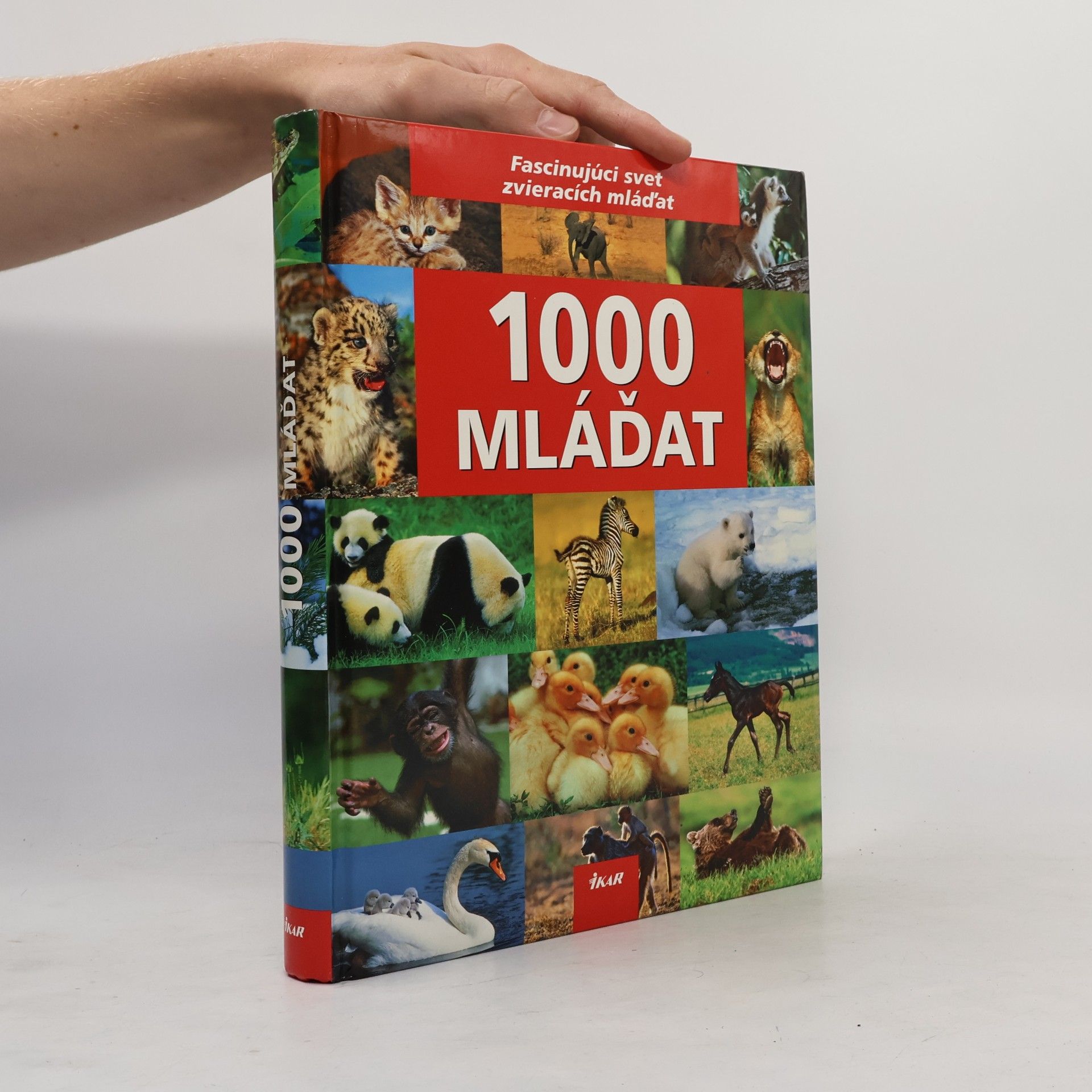 Ulrike Schöber 1000 mláďat