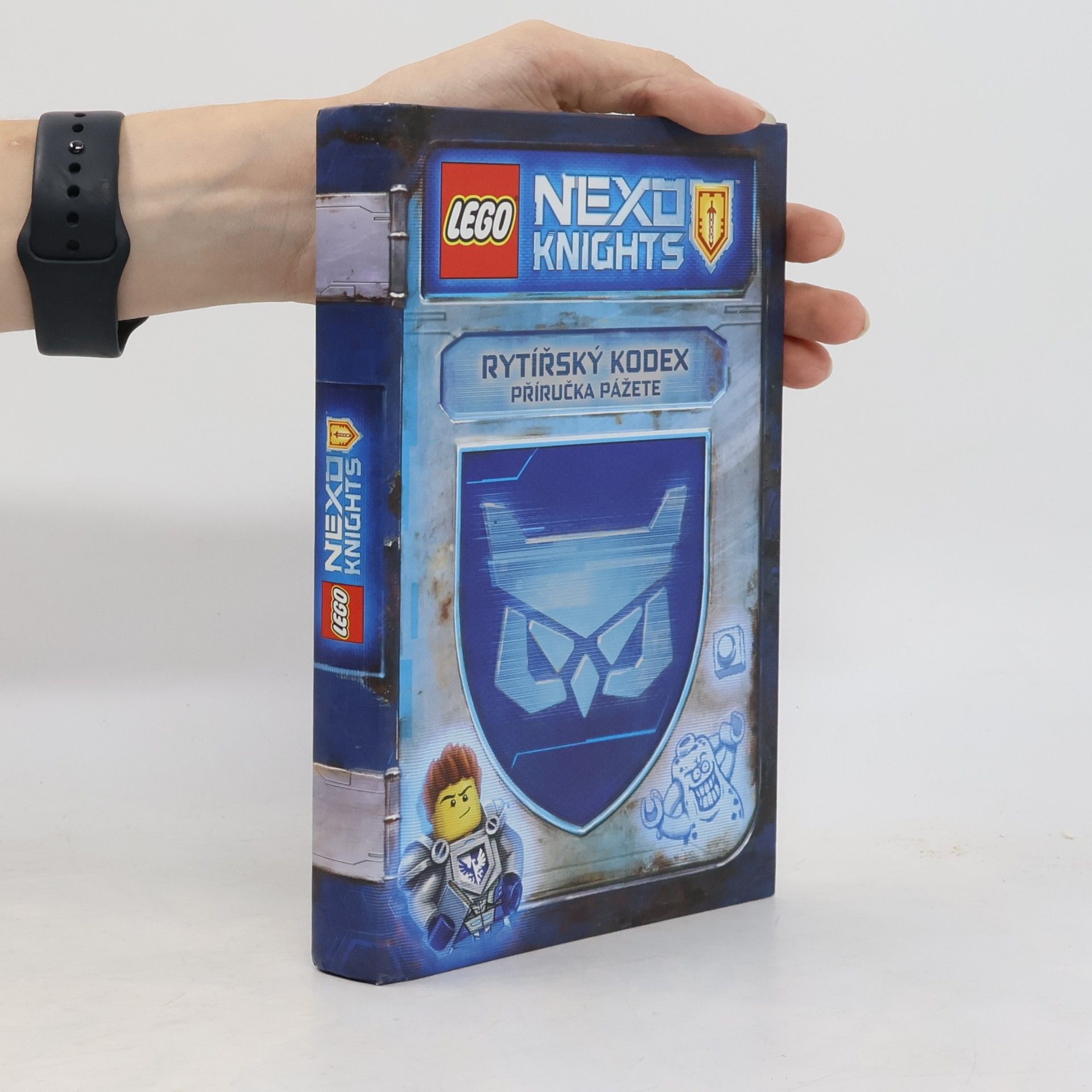 Rytířský kodex: Příručka pážete