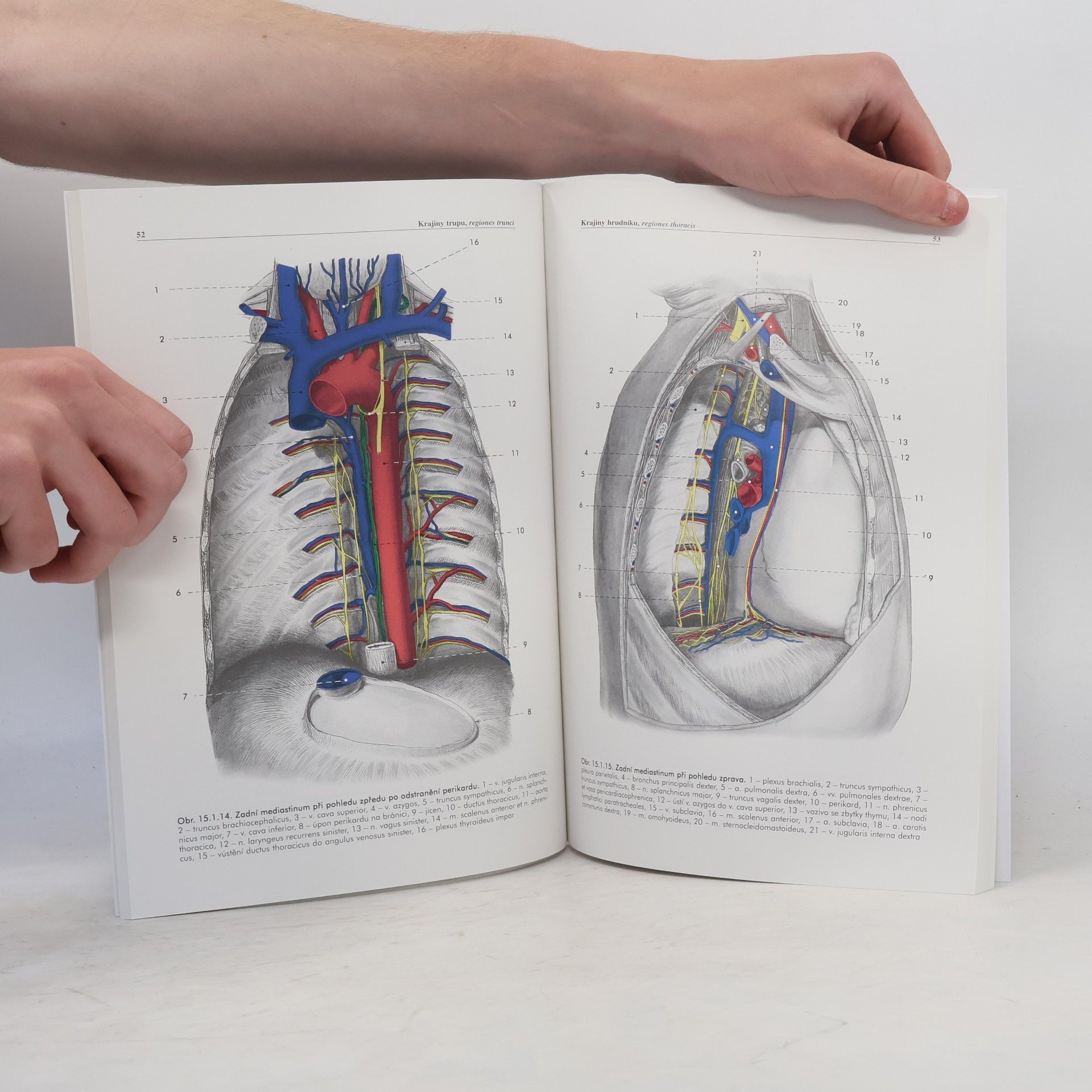 Miloš Grim Základy anatomie. 5., Anatomie krajin těla