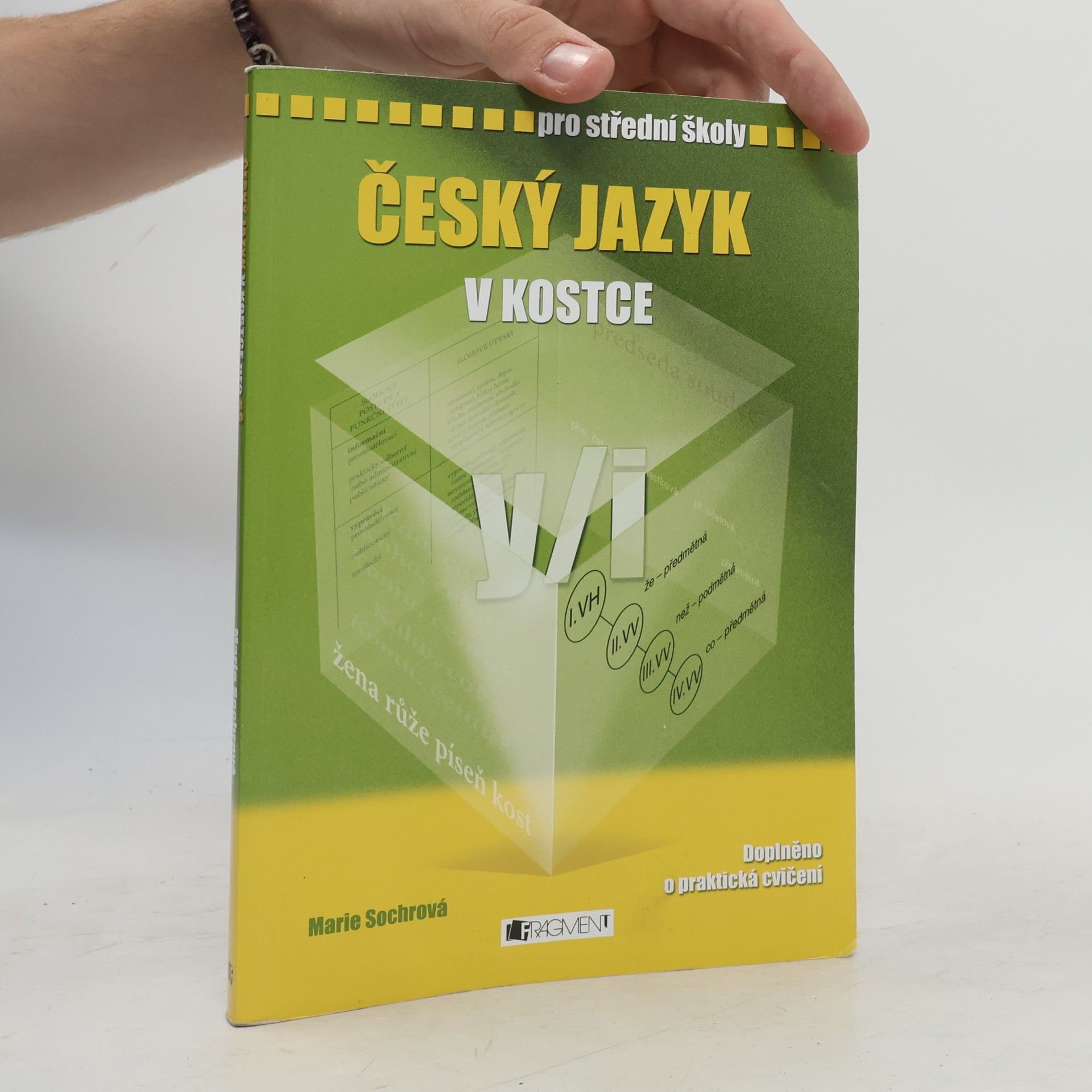 Český jazyk v kostce : pro střední školy