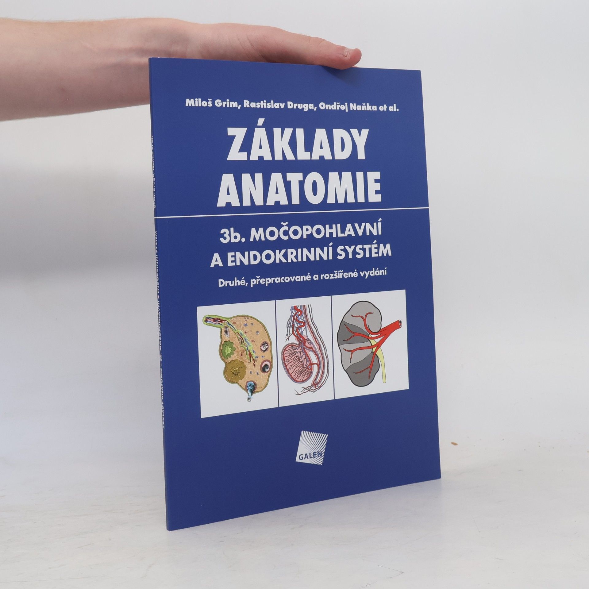 Jan Kacvinský Základy anatomie. 3b., Močopohlavní a endokrinní systém