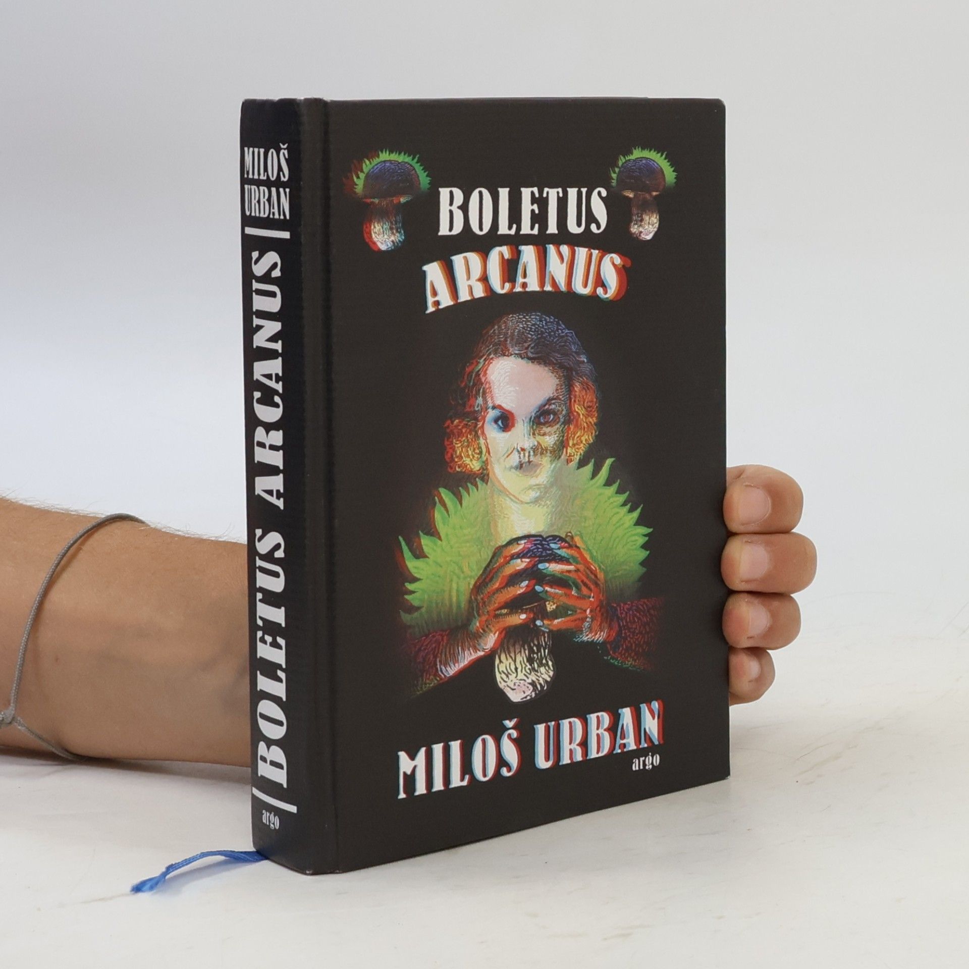 Pavel Růt Boletus arcanus