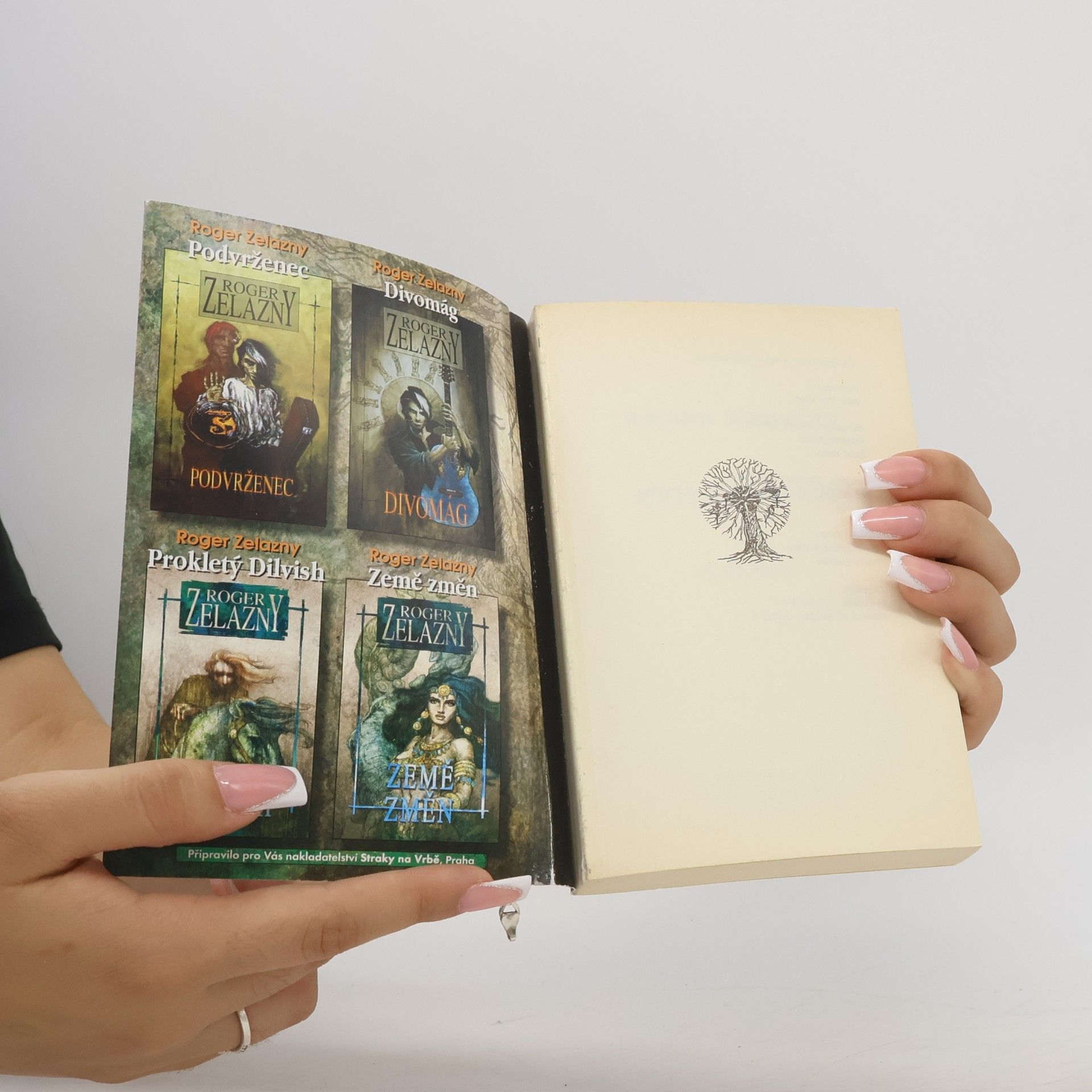 Roger Zelazny Pušky Avalonu