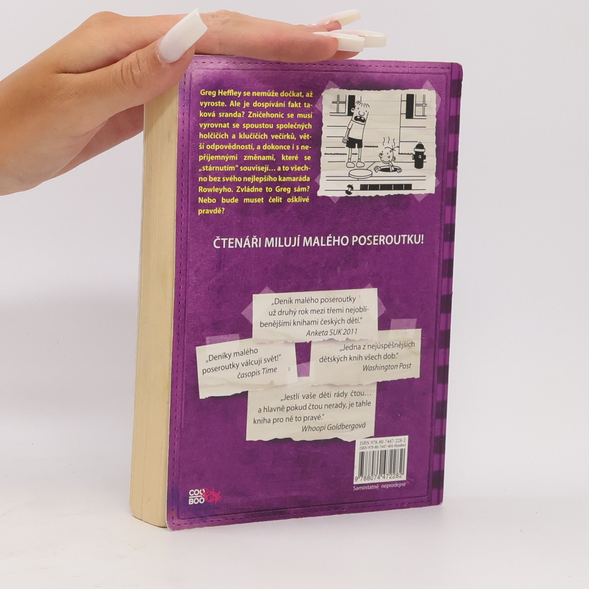 Jeff Kinney Deník malého poseroutky 5. Ošklivá pravda