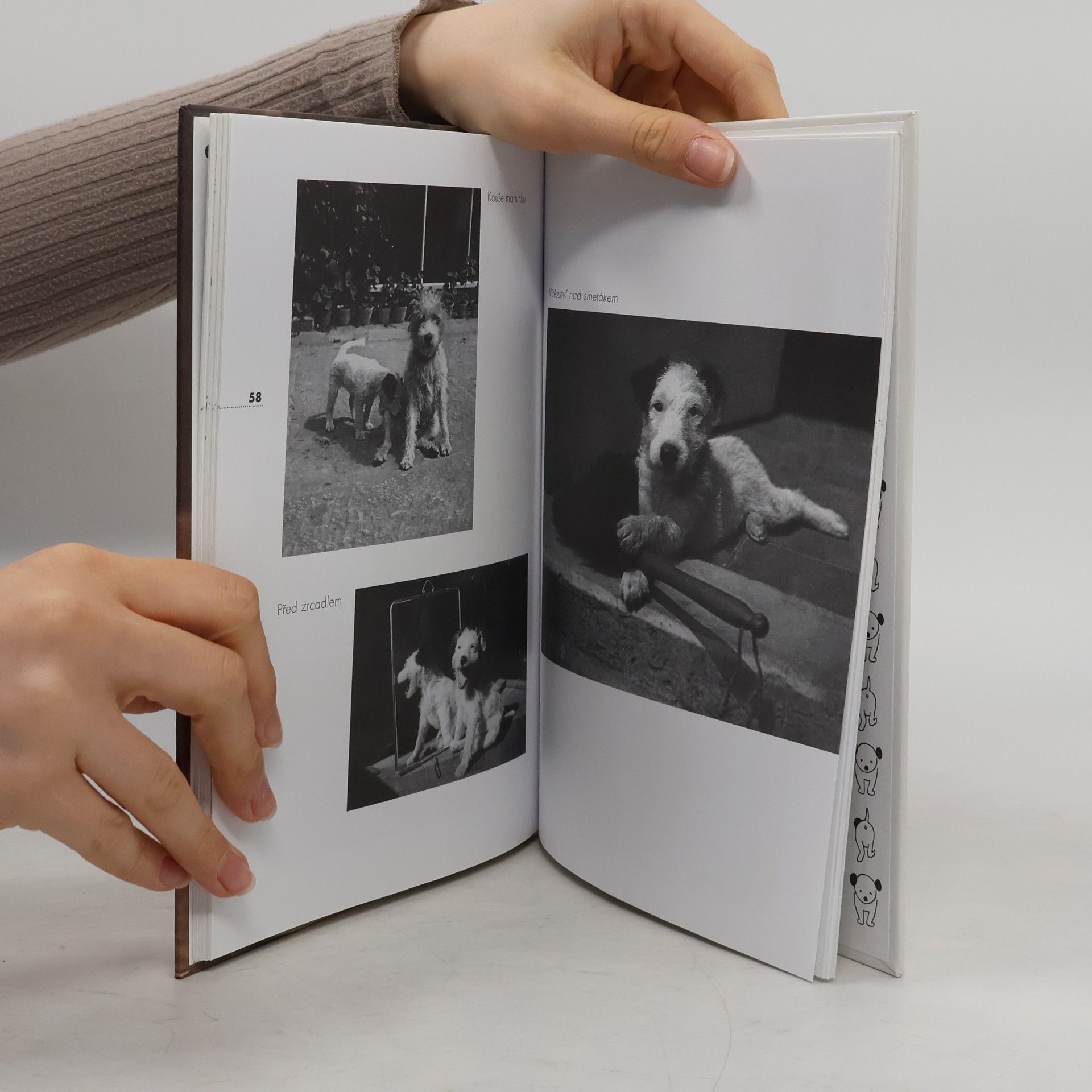 Karel Čapek Dášeňka čili Život štěněte