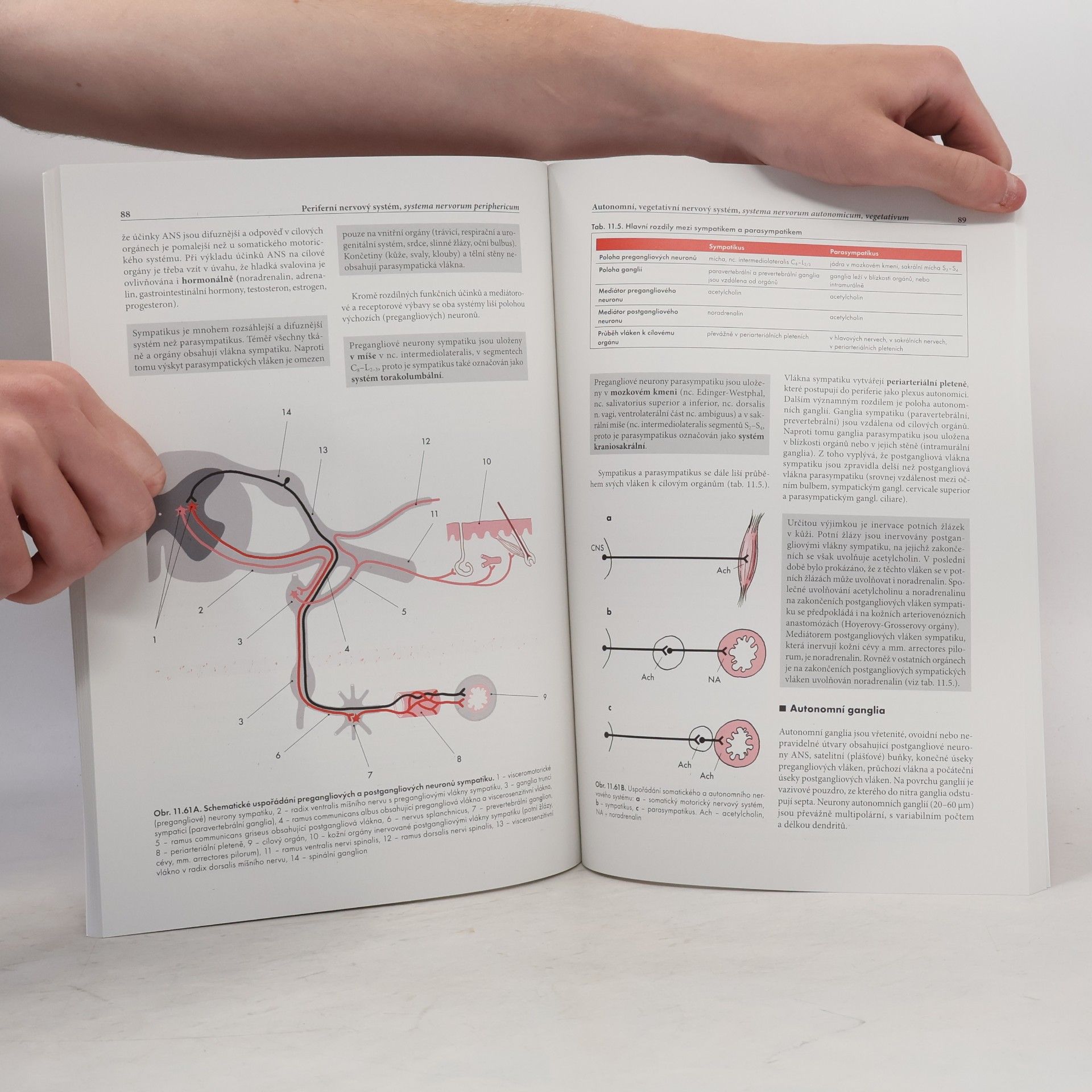 Miloš Grim Základy anatomie 4b.