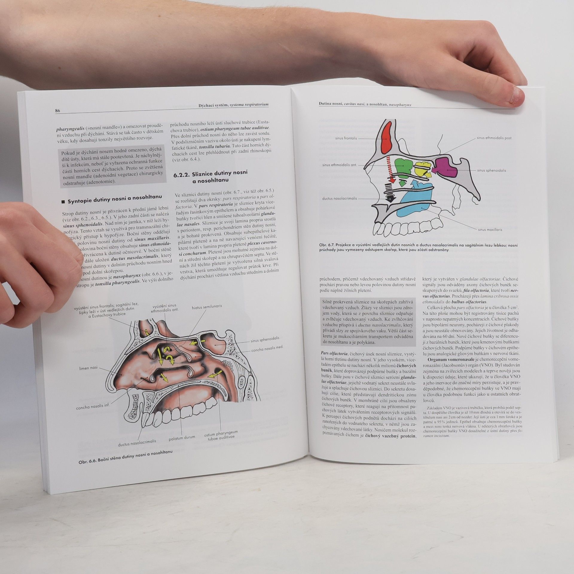 Miloš Grim Základy anatomie. 3a., Trávicí a dýchací systém