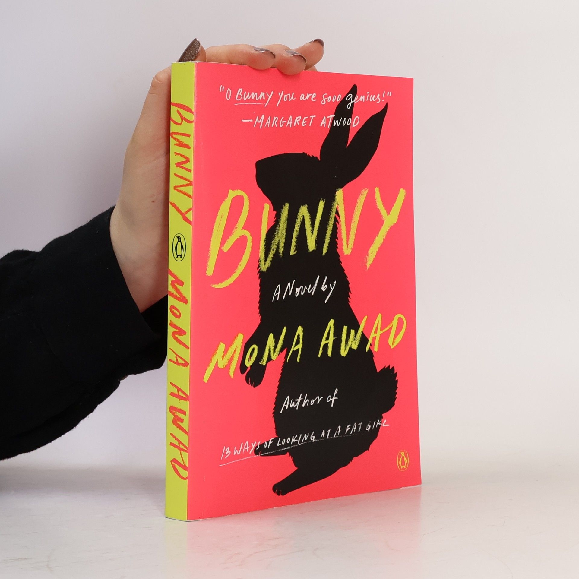 Mona Awad Bunny