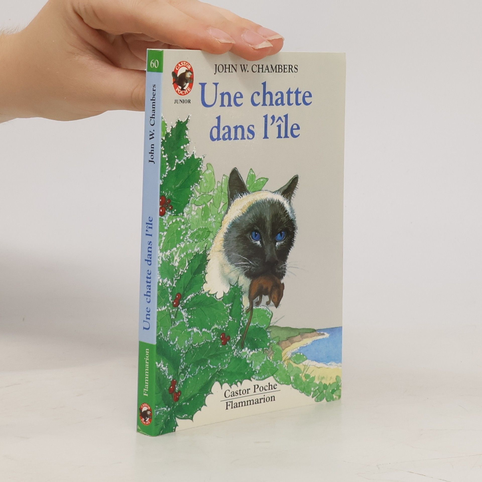 John Whiteclay Chambers Une chatte dans l'île