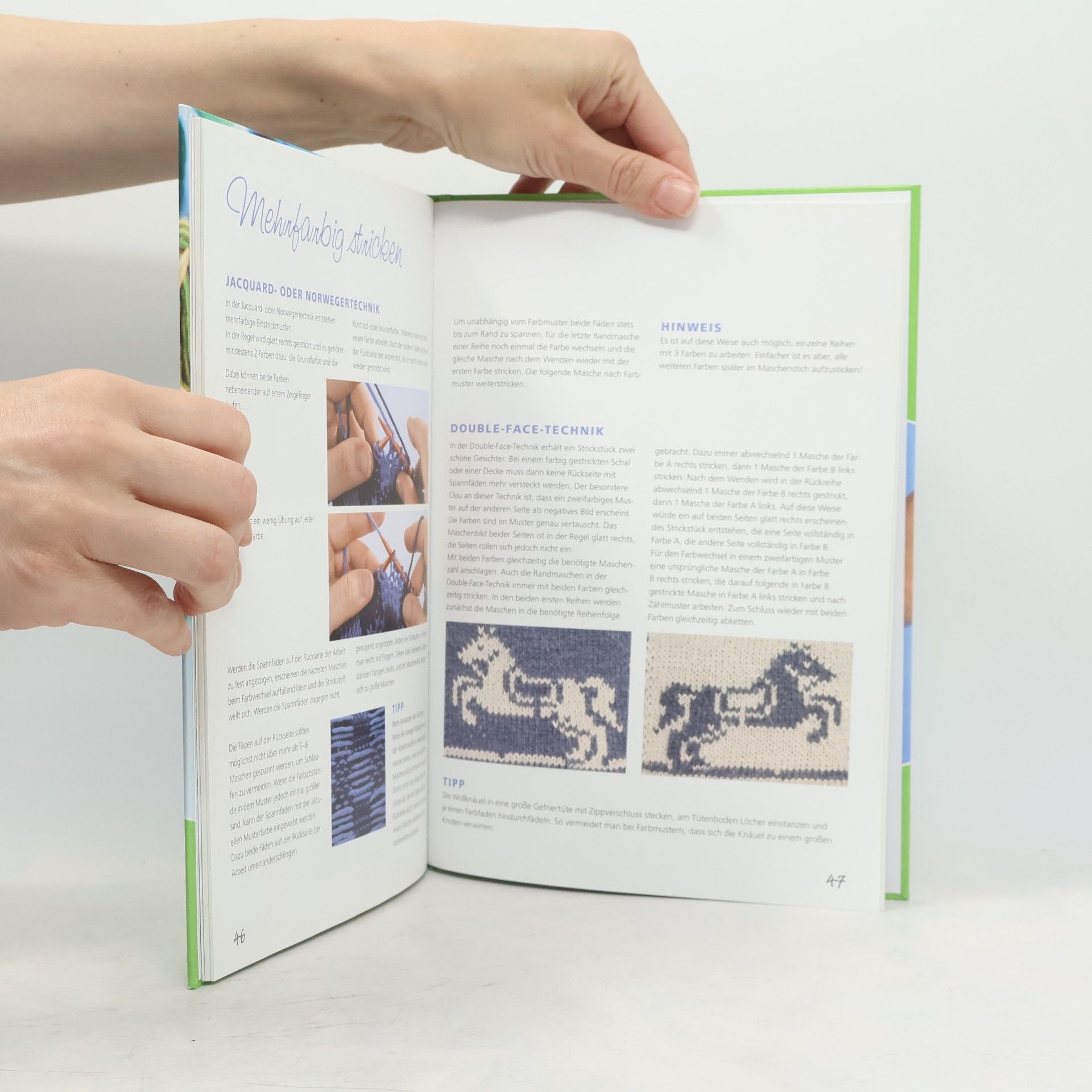 Autorenkollektiv Grundlagenkurs Stricken