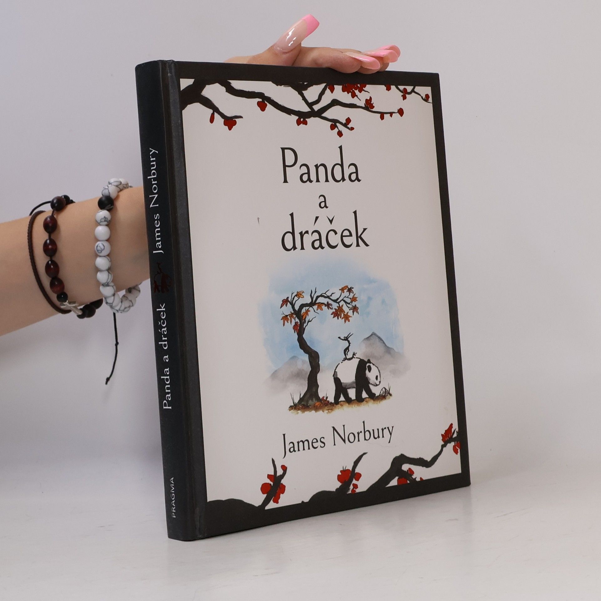 James Norbury Panda a dráček
