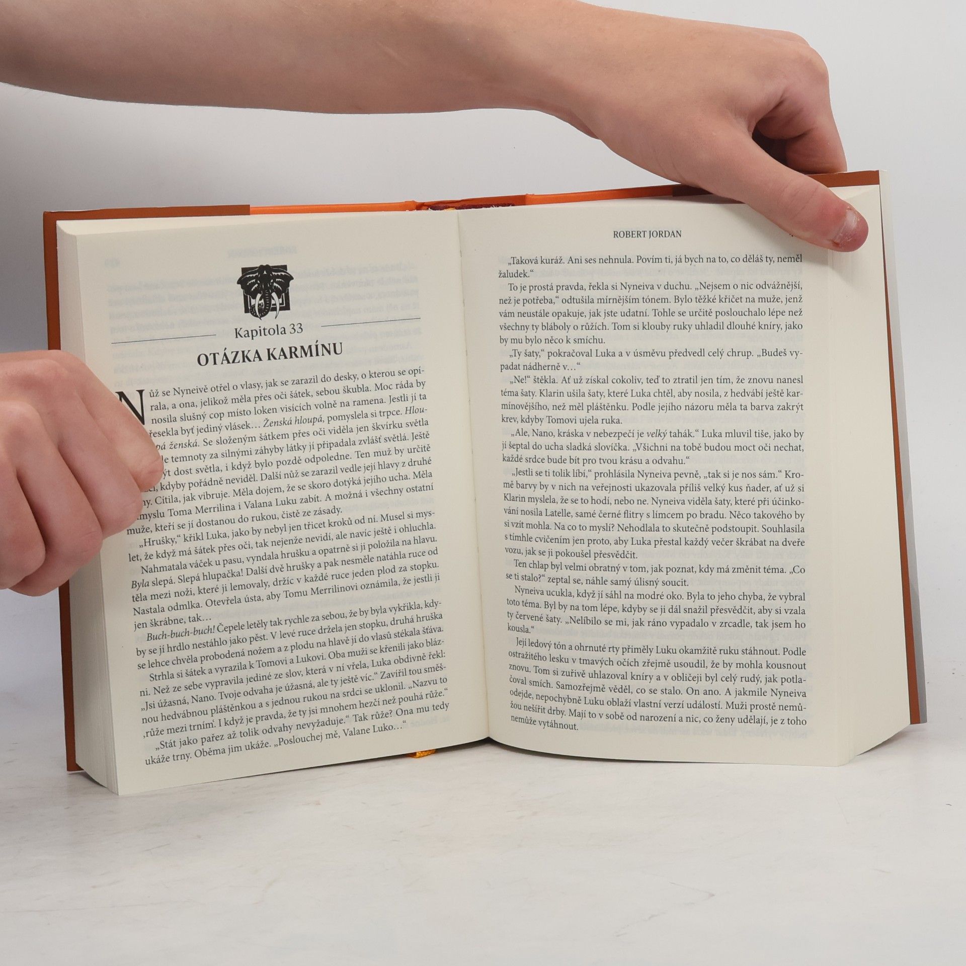 Robert Jordan Kolo času V. Oheň z nebes