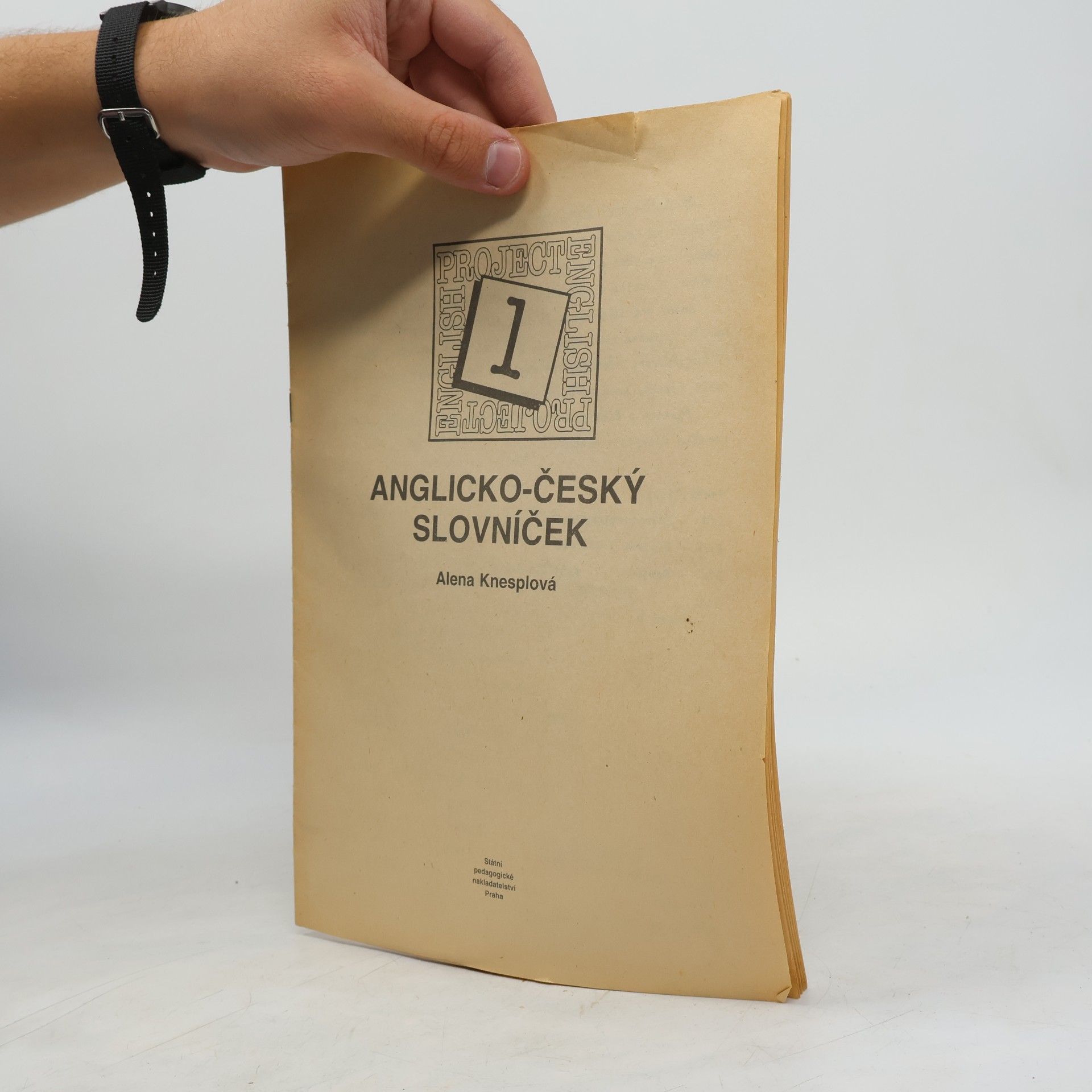 Alena Knesplová Anglicko-český slovníček : Project English 1