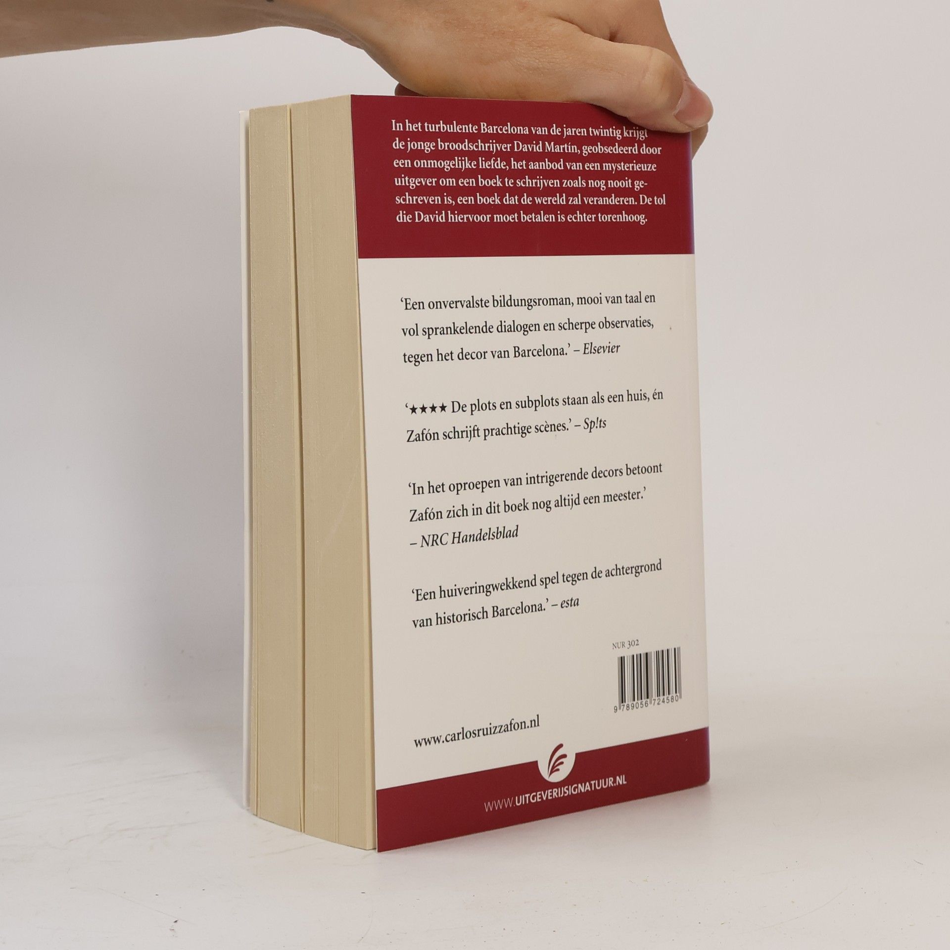 Carlos Ruiz Safon Het kerkhof der vergeten boeken - 2: Het spel van de engel