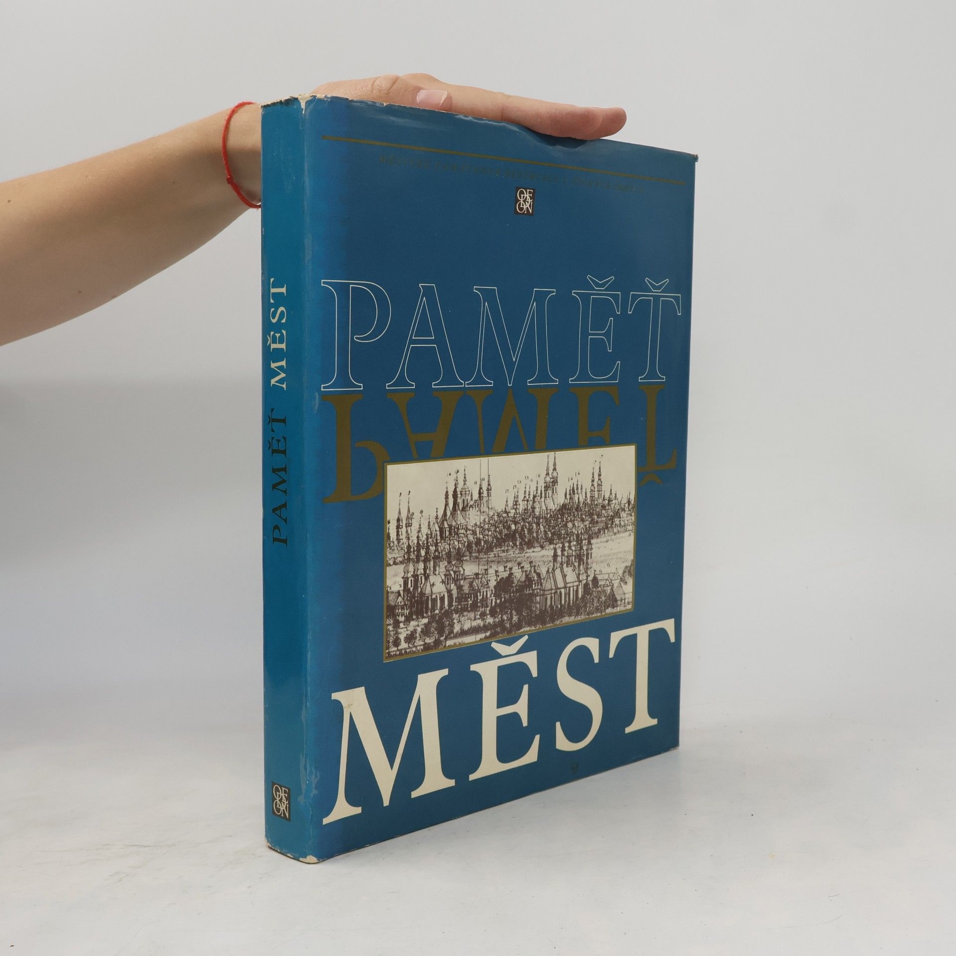 Various authors Paměť měst