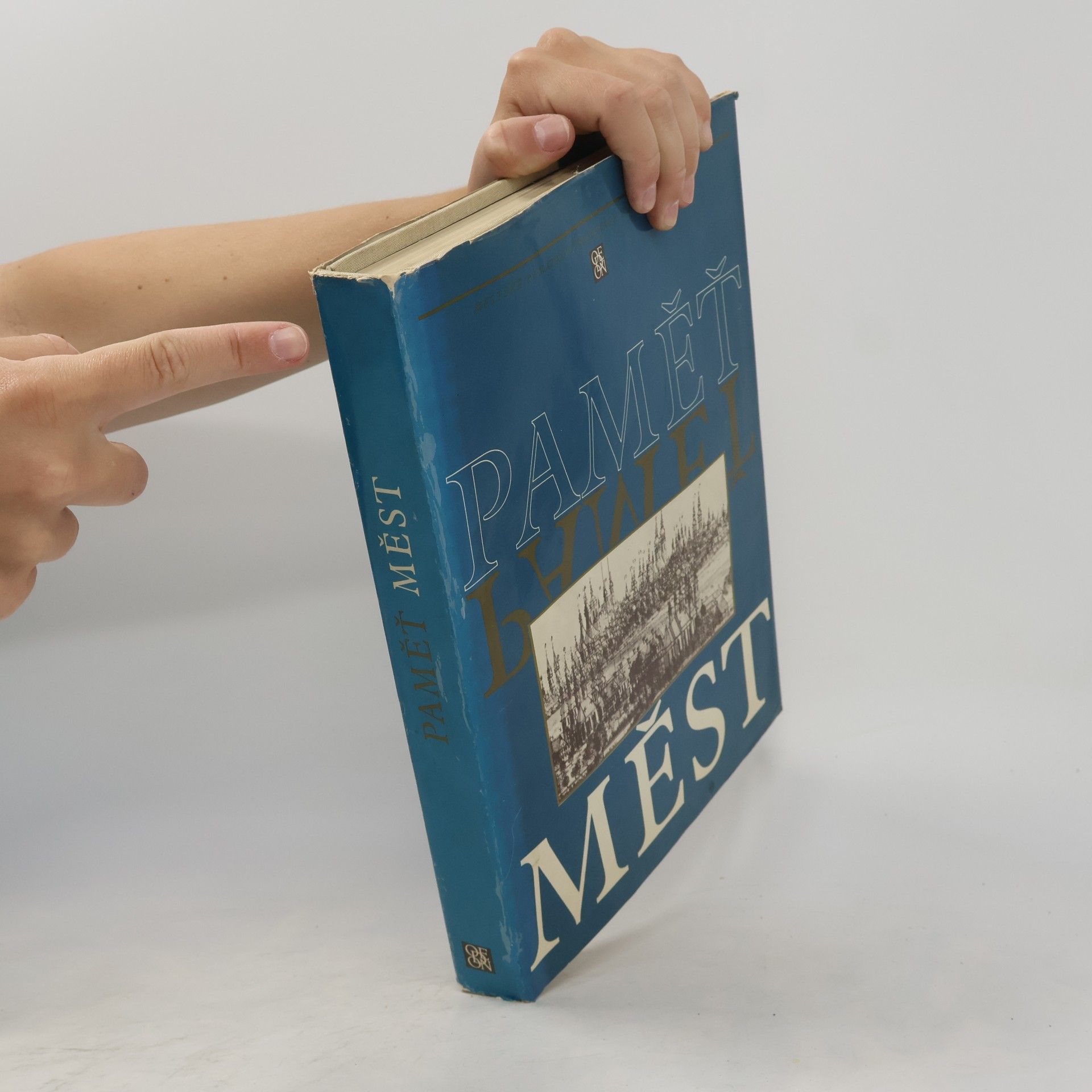 Various authors Paměť měst