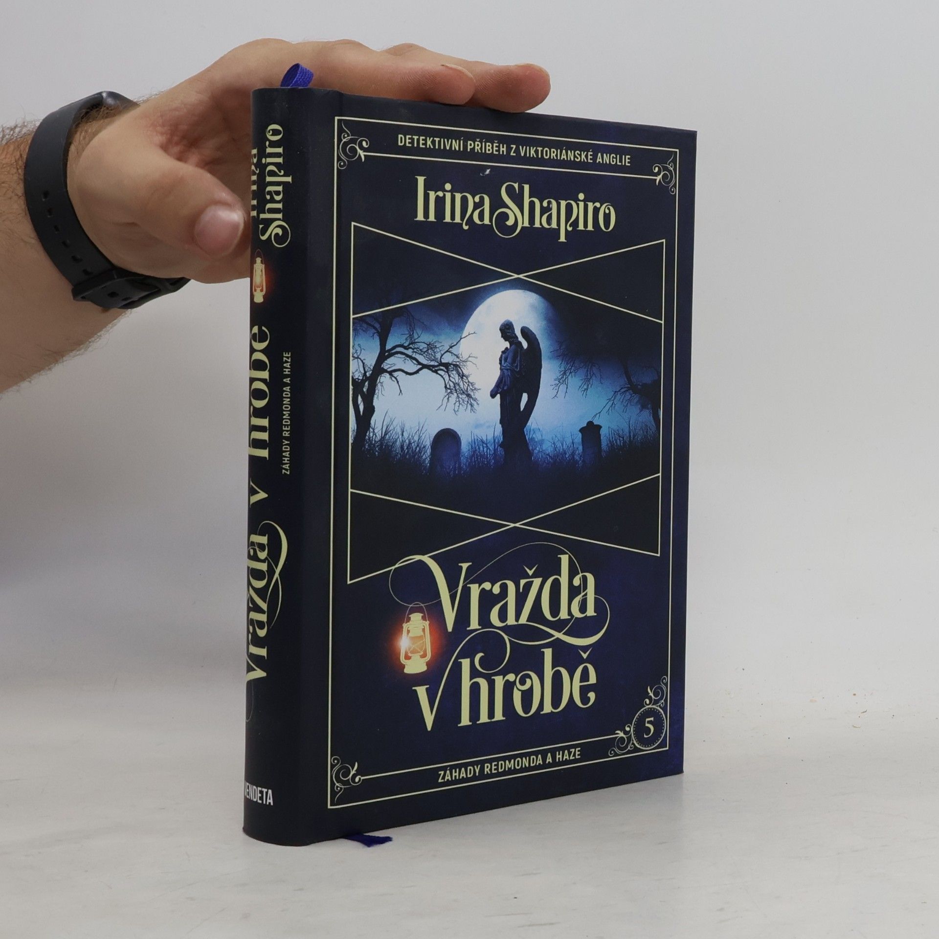Irina Shapiro Vražda v hrobě