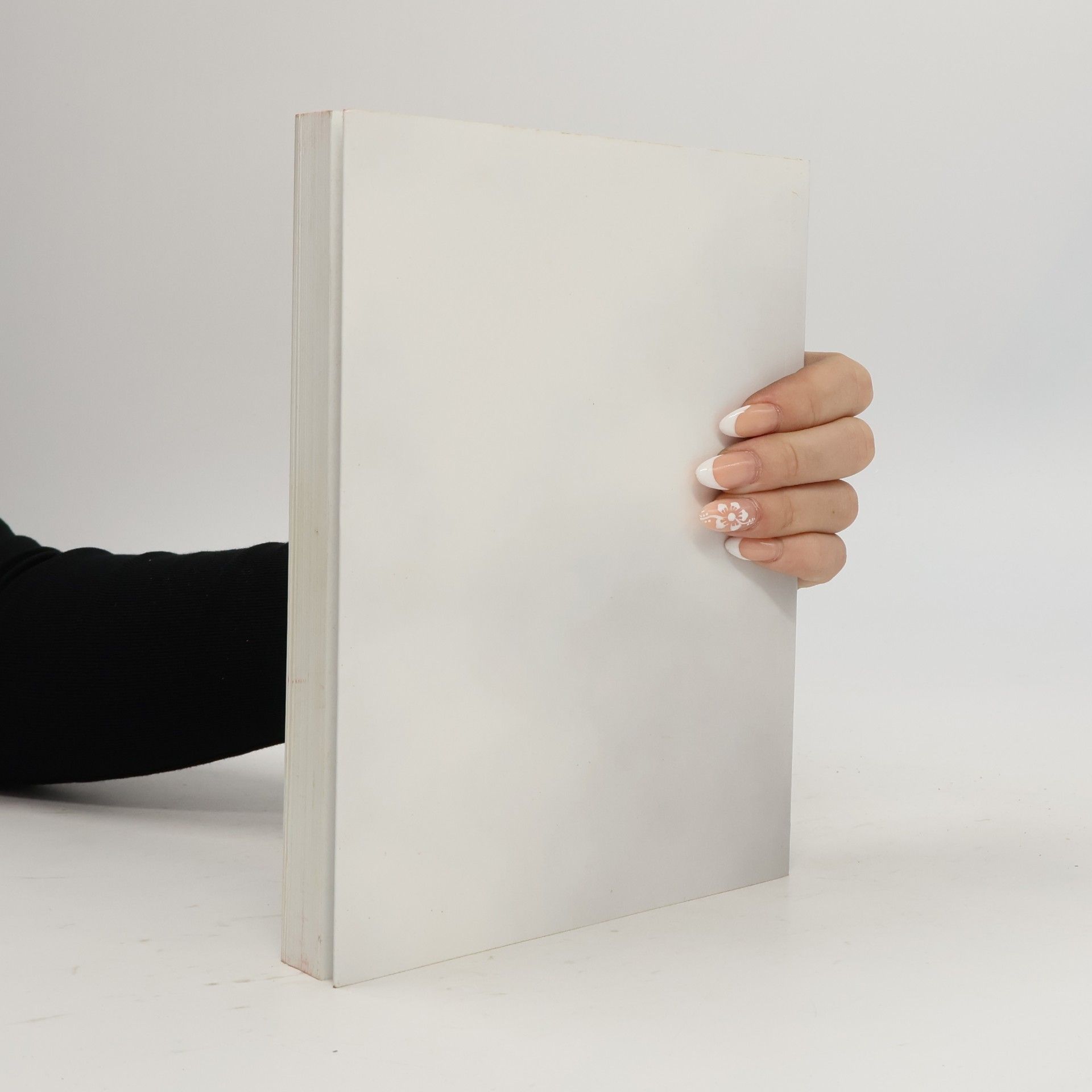 Kolektiv autorů Kniha Jeruzalémská bible - XVI. svazek, Evangelia