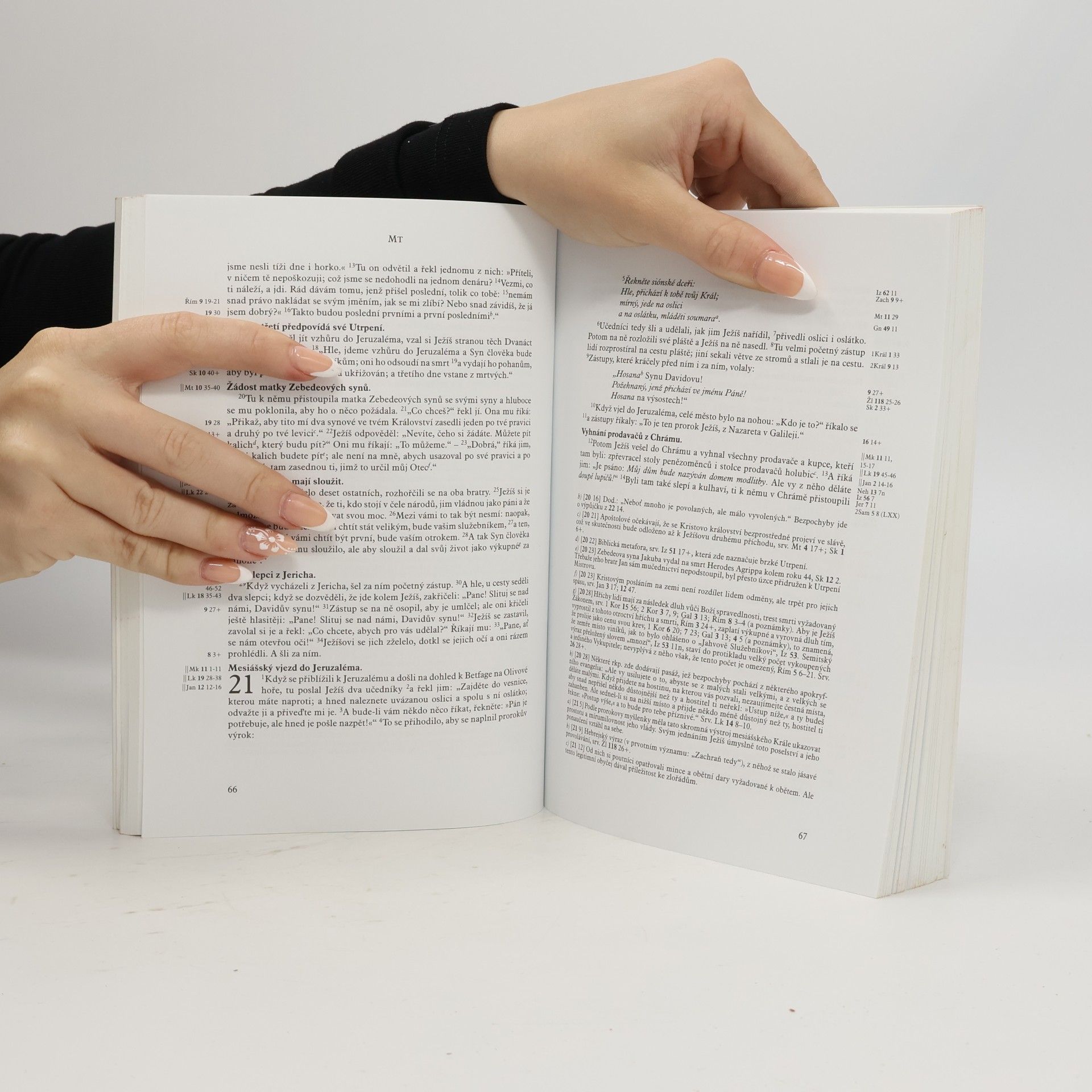 Kolektiv autorů Kniha Jeruzalémská bible - XVI. svazek, Evangelia