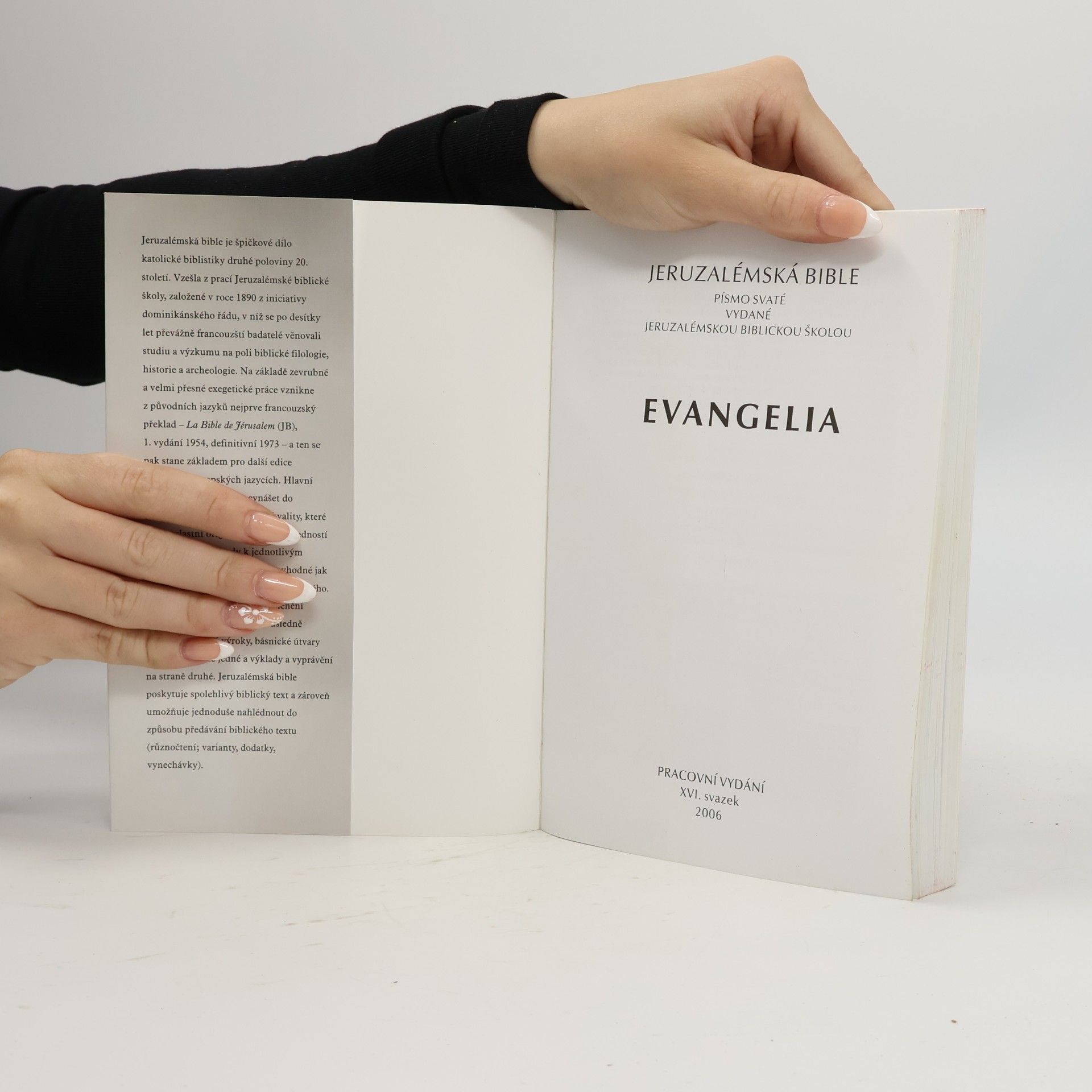 Kolektiv autorů Kniha Jeruzalémská bible - XVI. svazek, Evangelia