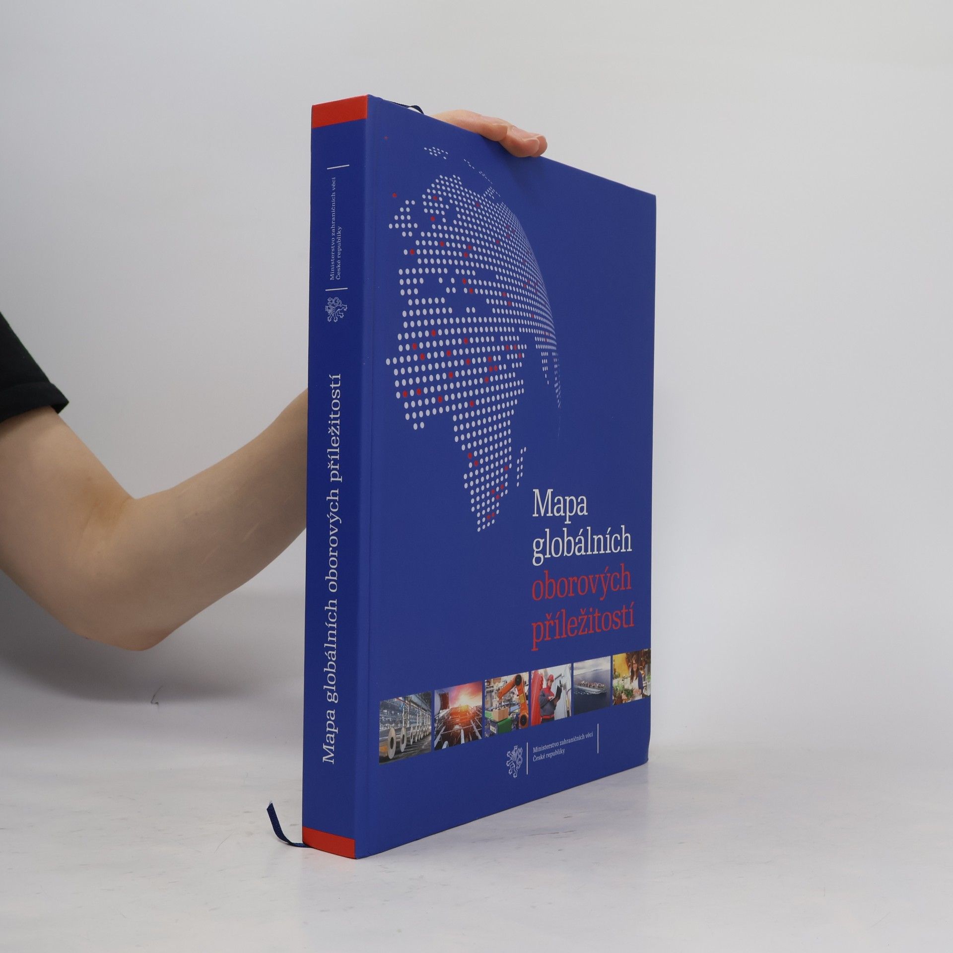 Collectif d'auteurs Mapa globálních oborových příležitostí
