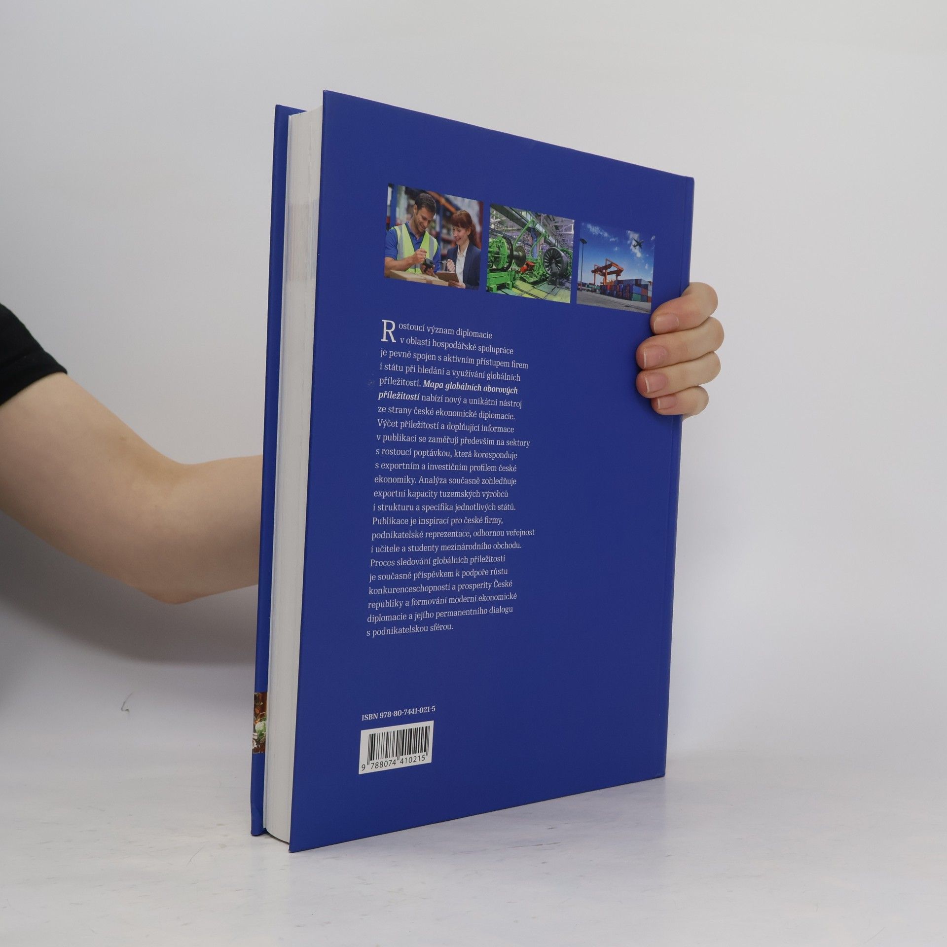 Collectif d'auteurs Mapa globálních oborových příležitostí