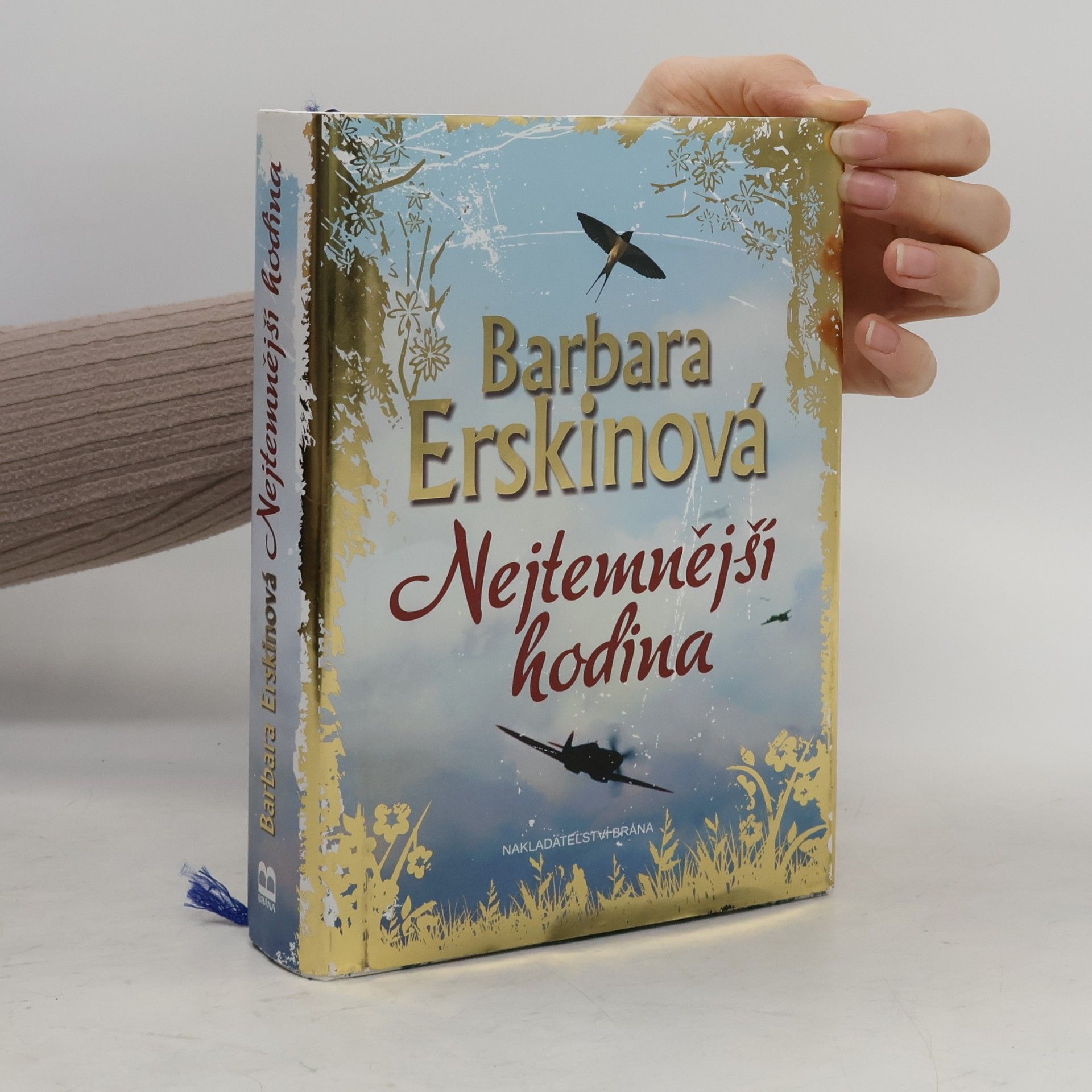 Barbara Erskine Nejtemnější hodina