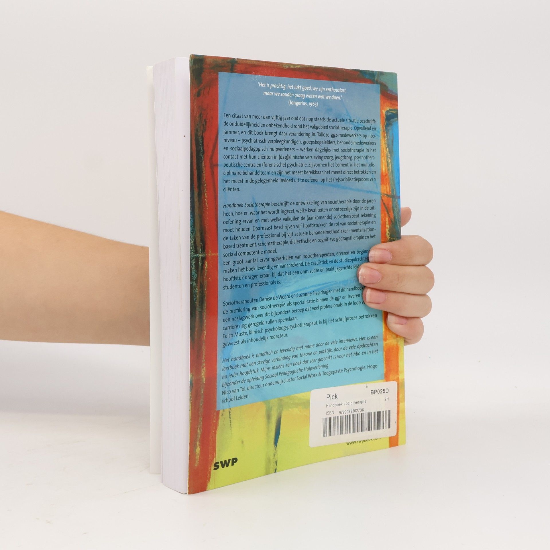 Denise de Weerd Handboek sociotherapie