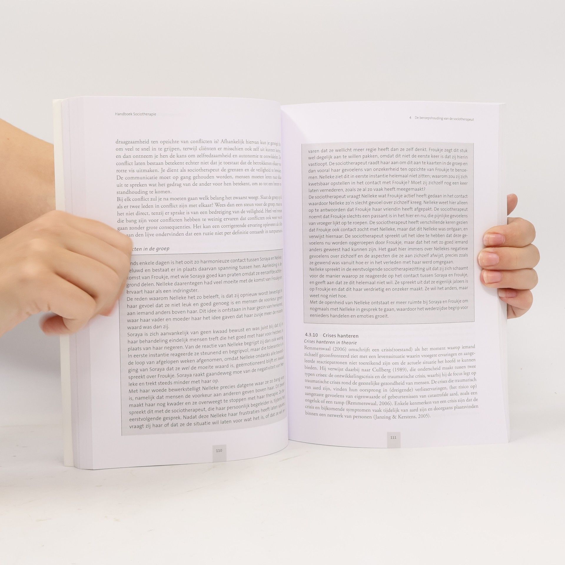Denise de Weerd Handboek sociotherapie