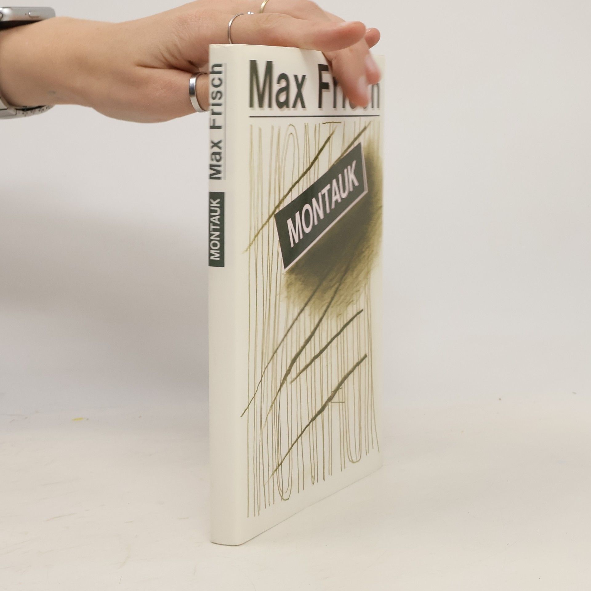 Max Frisch Montauk