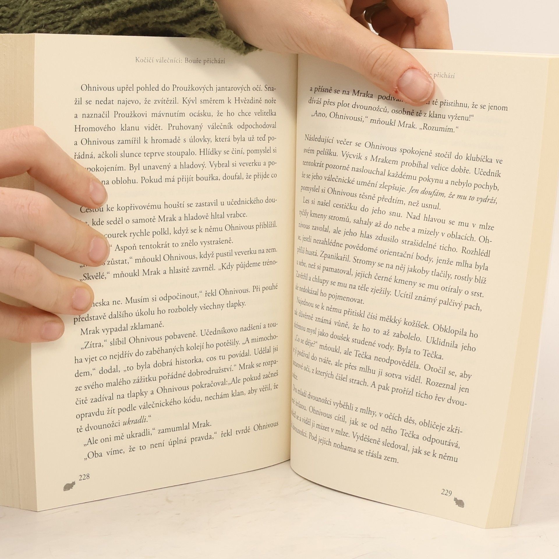 Erin Hunter Bouře přichází. Kočičí válečníci