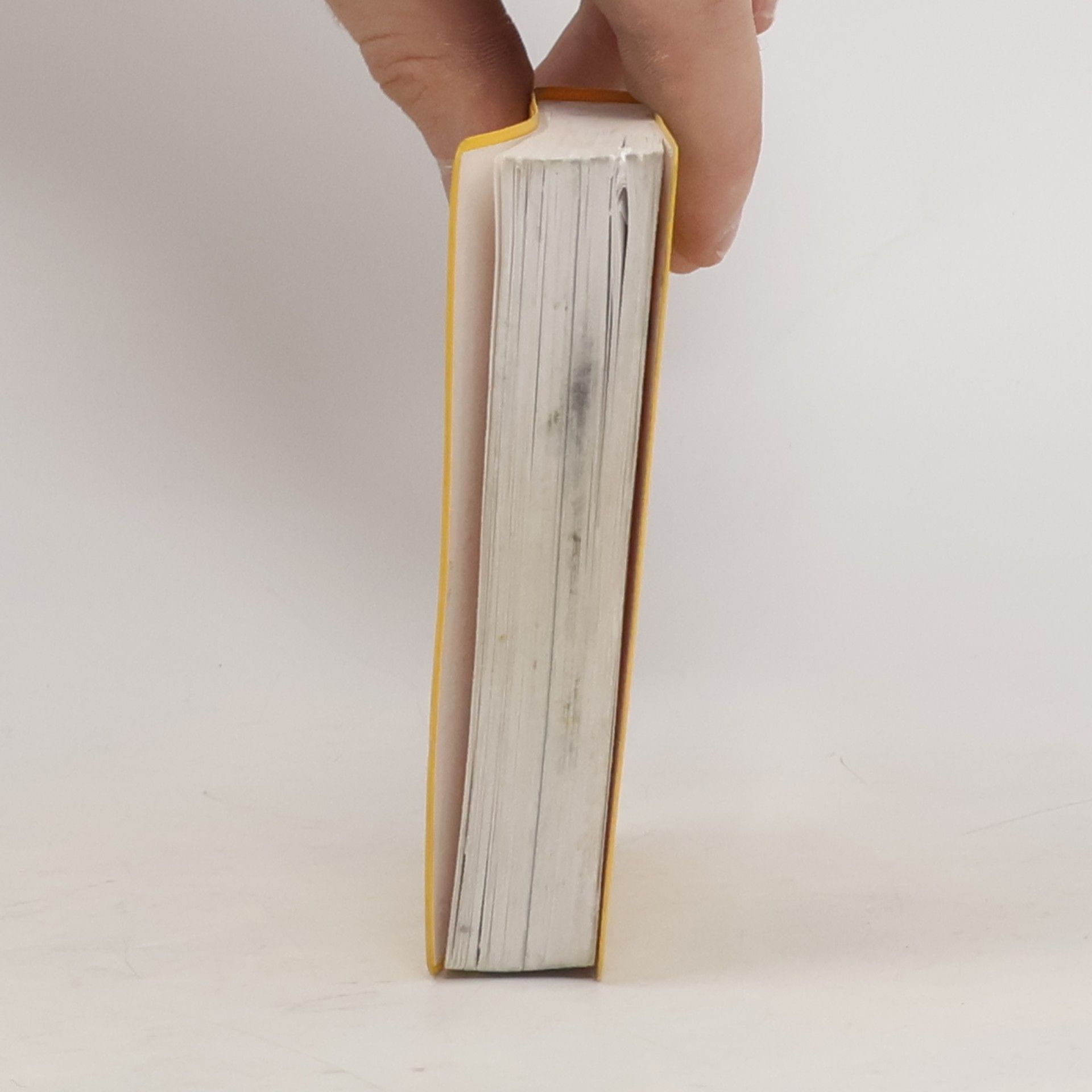 Collectif d'auteurs Langenscheidts Universal-Wörterbuch: Tschechisch