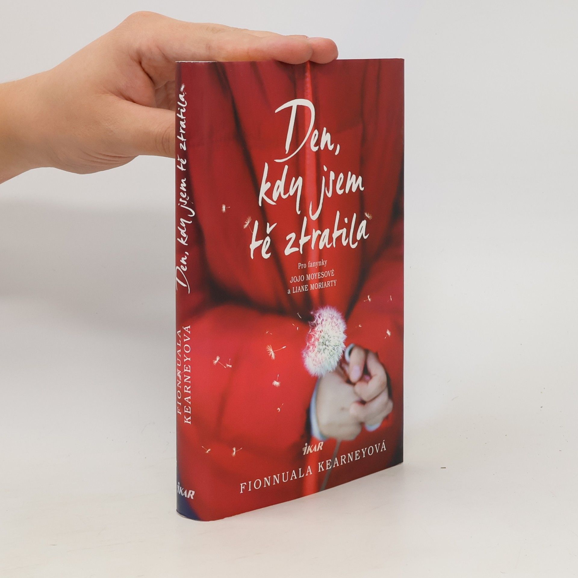 Fionnuala Kearney Den, kdy jsem tě ztratila