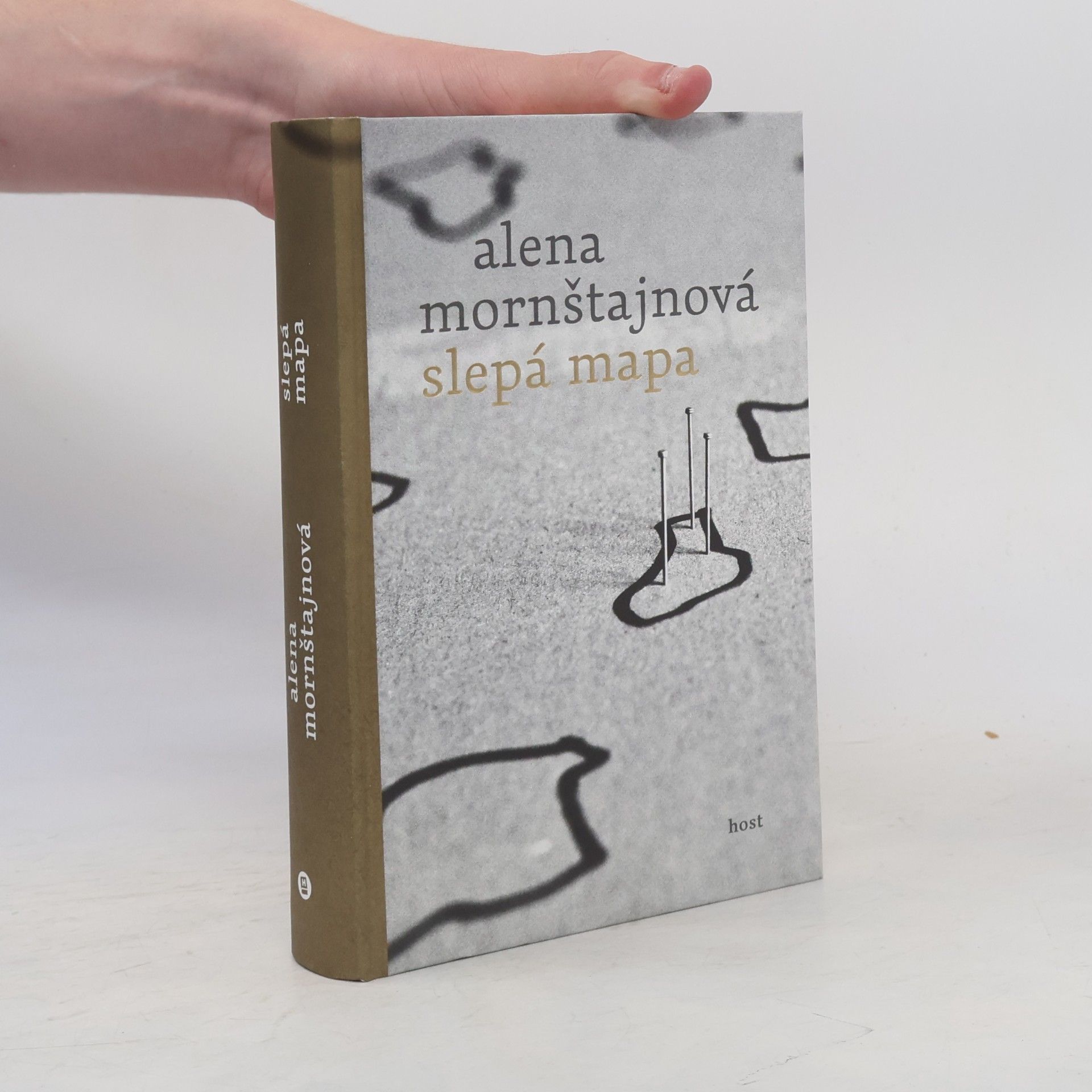 Alena Mornštajnová Slepá mapa