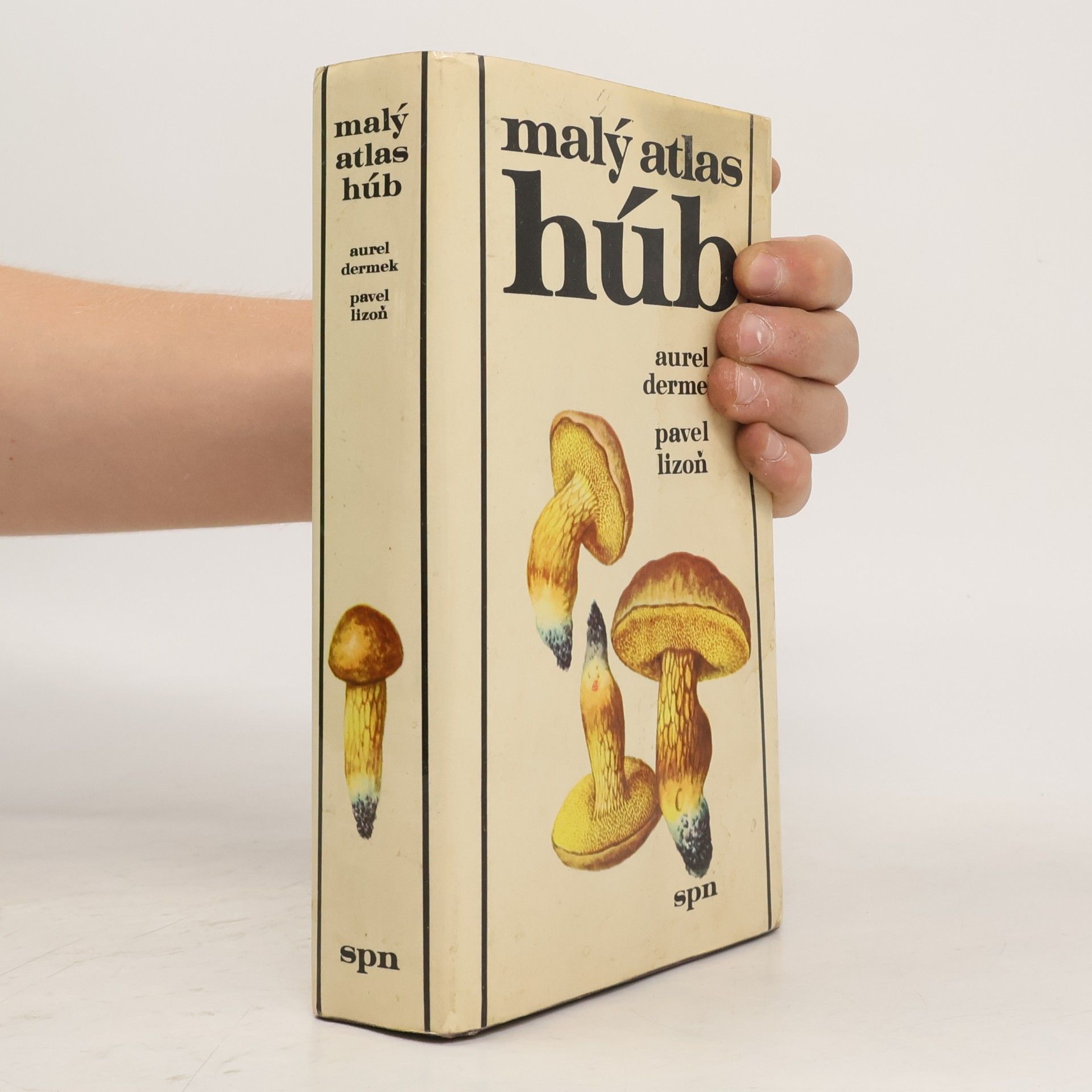 Aurel Dermek Malý atlas húb