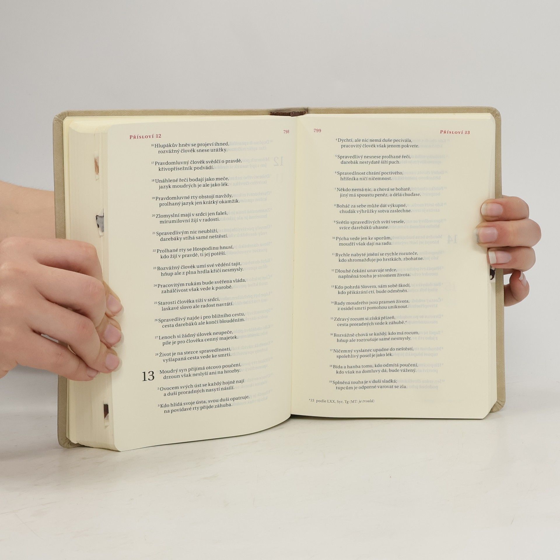 Alexandr Flek Bible. Překlad 21. století
