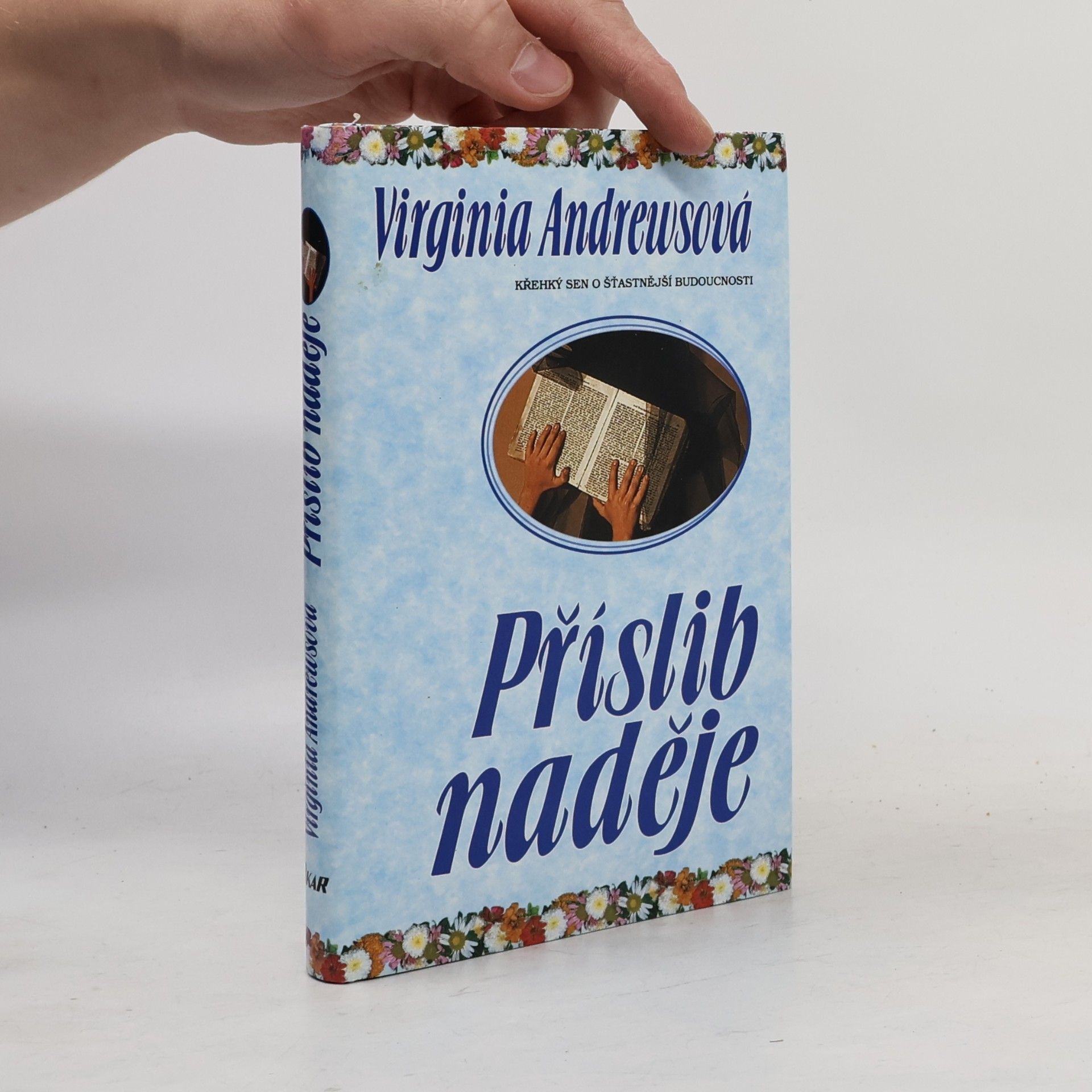 Virginia C. Andrewsová Příslib naděje